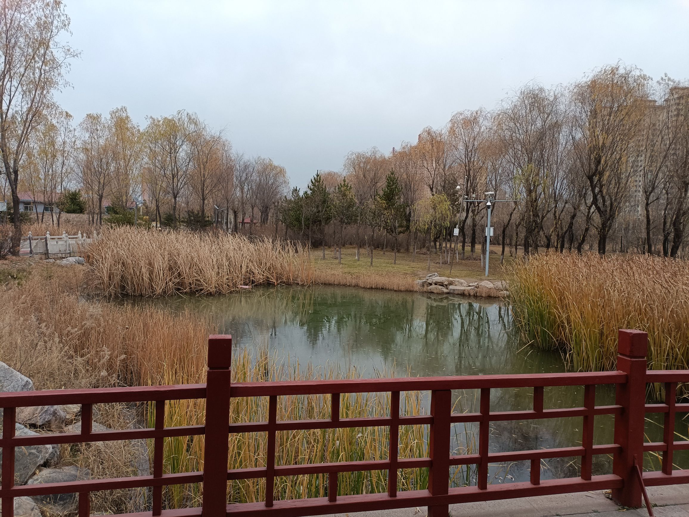 裕丰湿地公园旅行图片 2