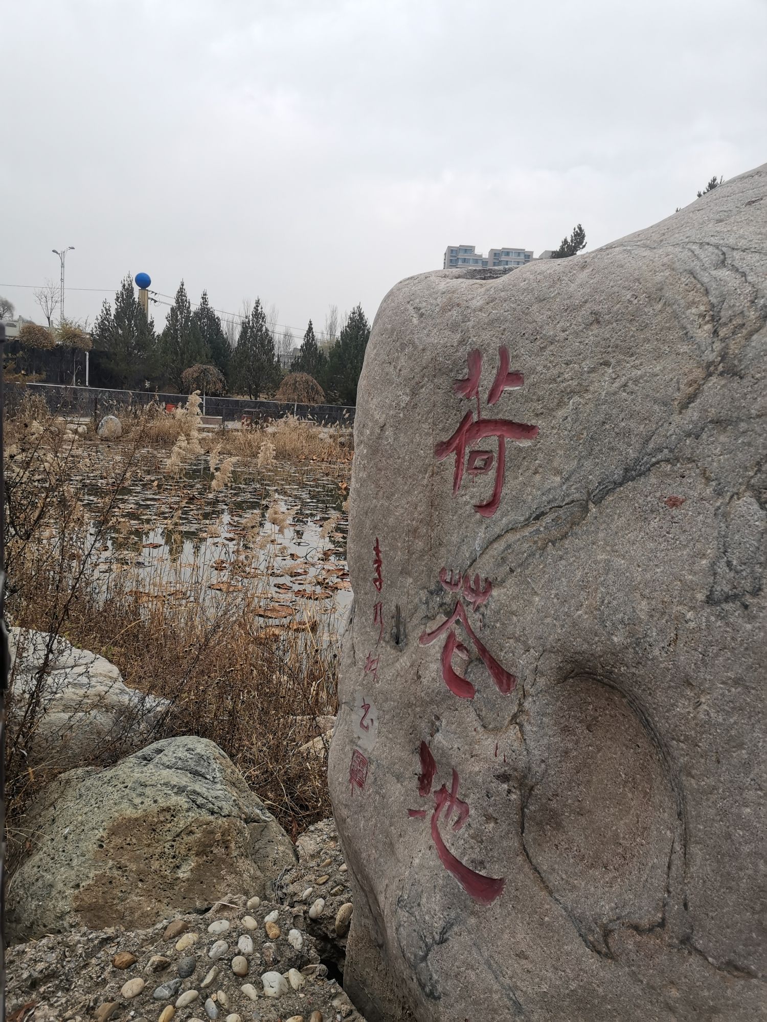 裕丰湿地公园旅行图片 3