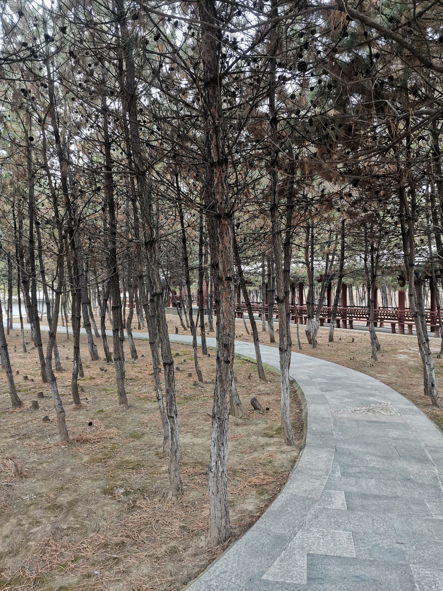 裕丰湿地公园旅行图片 2