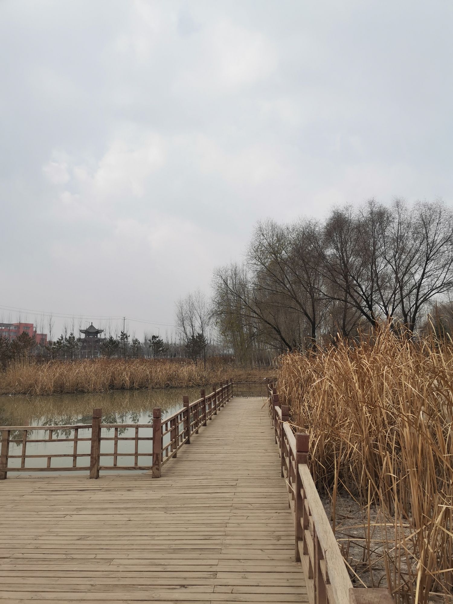 裕丰湿地公园旅行图片 1