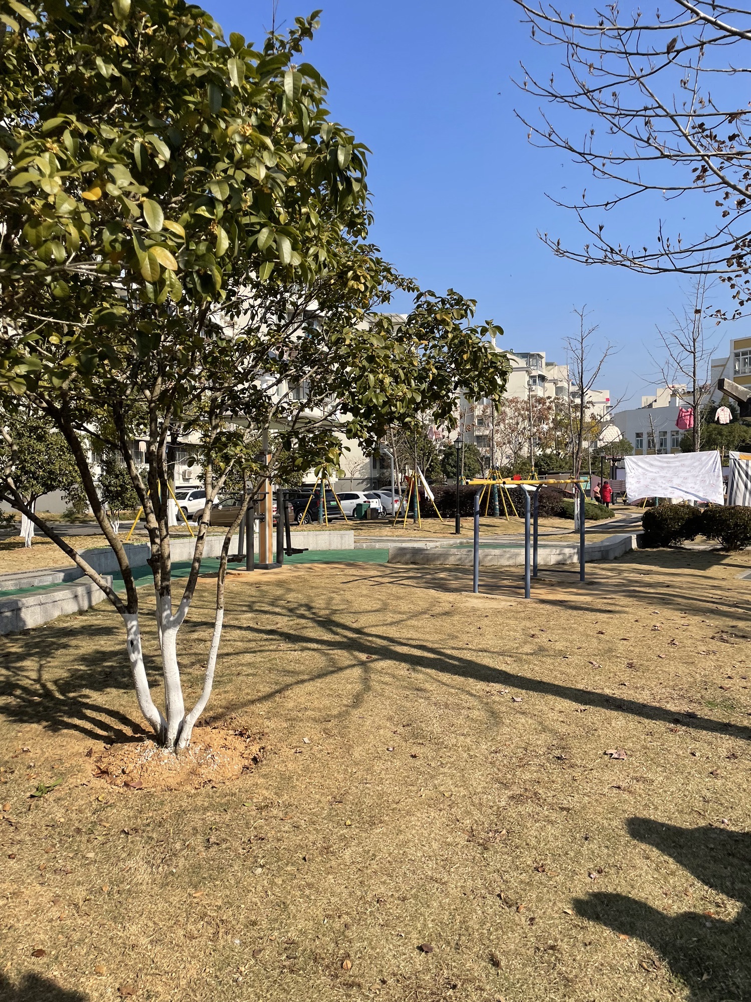 白马公园旅行图片 2