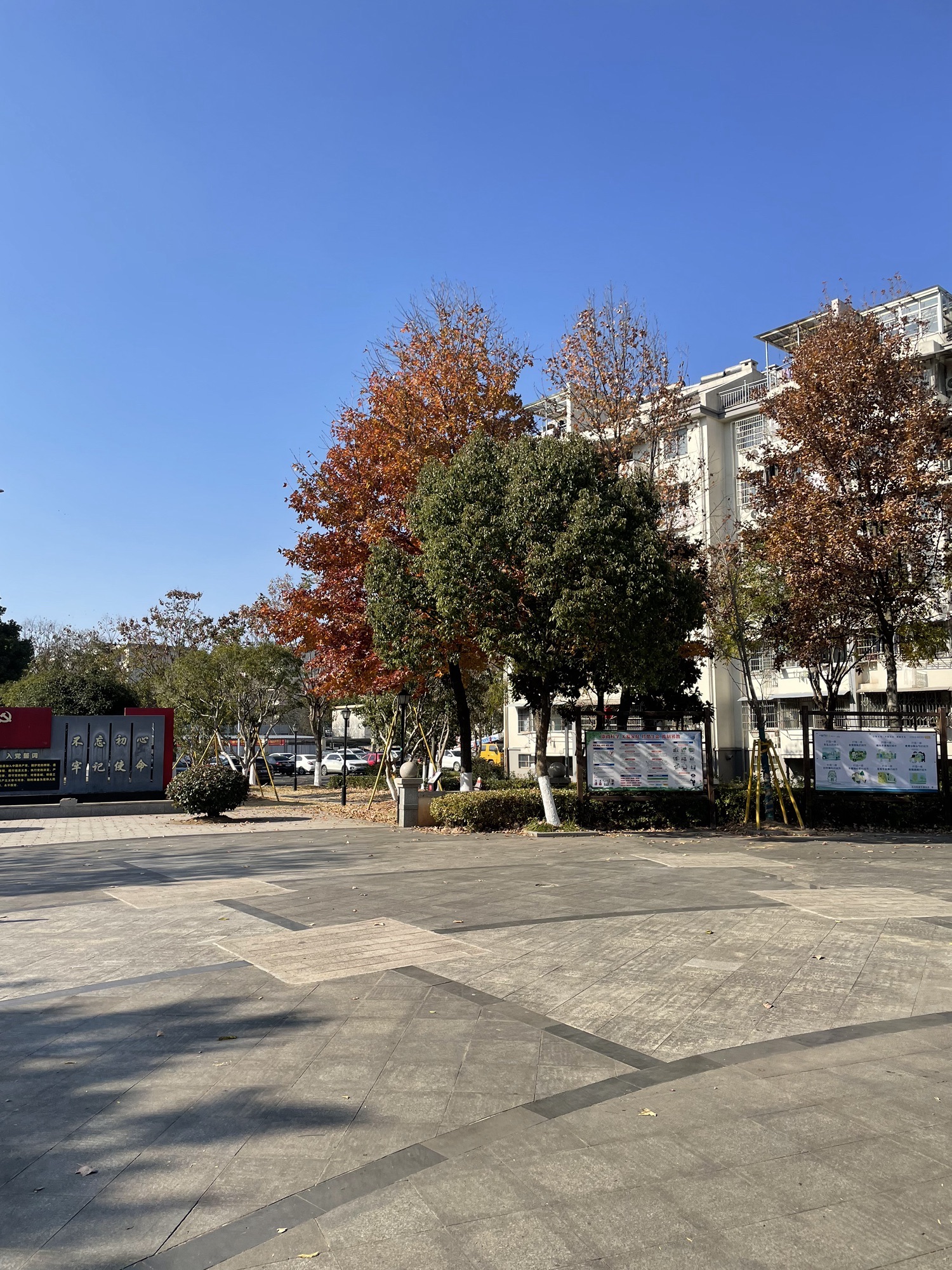 白马公园旅行图片 1