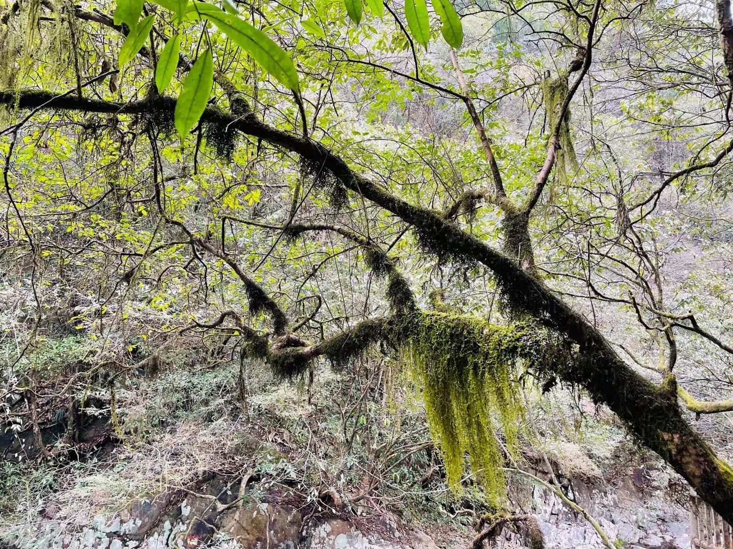 飞凤峡旅行图片 2