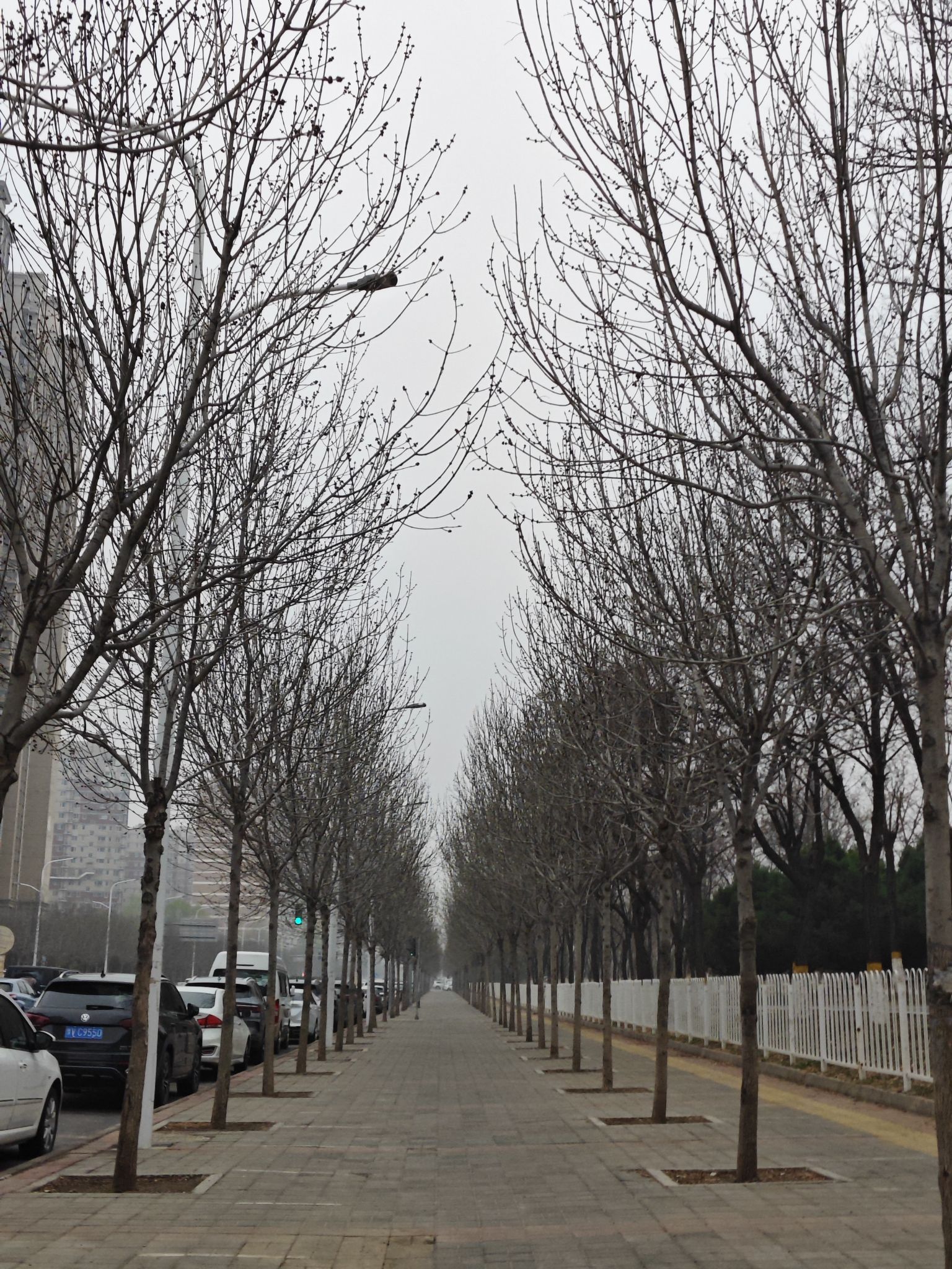 学府公园旅行图片 1