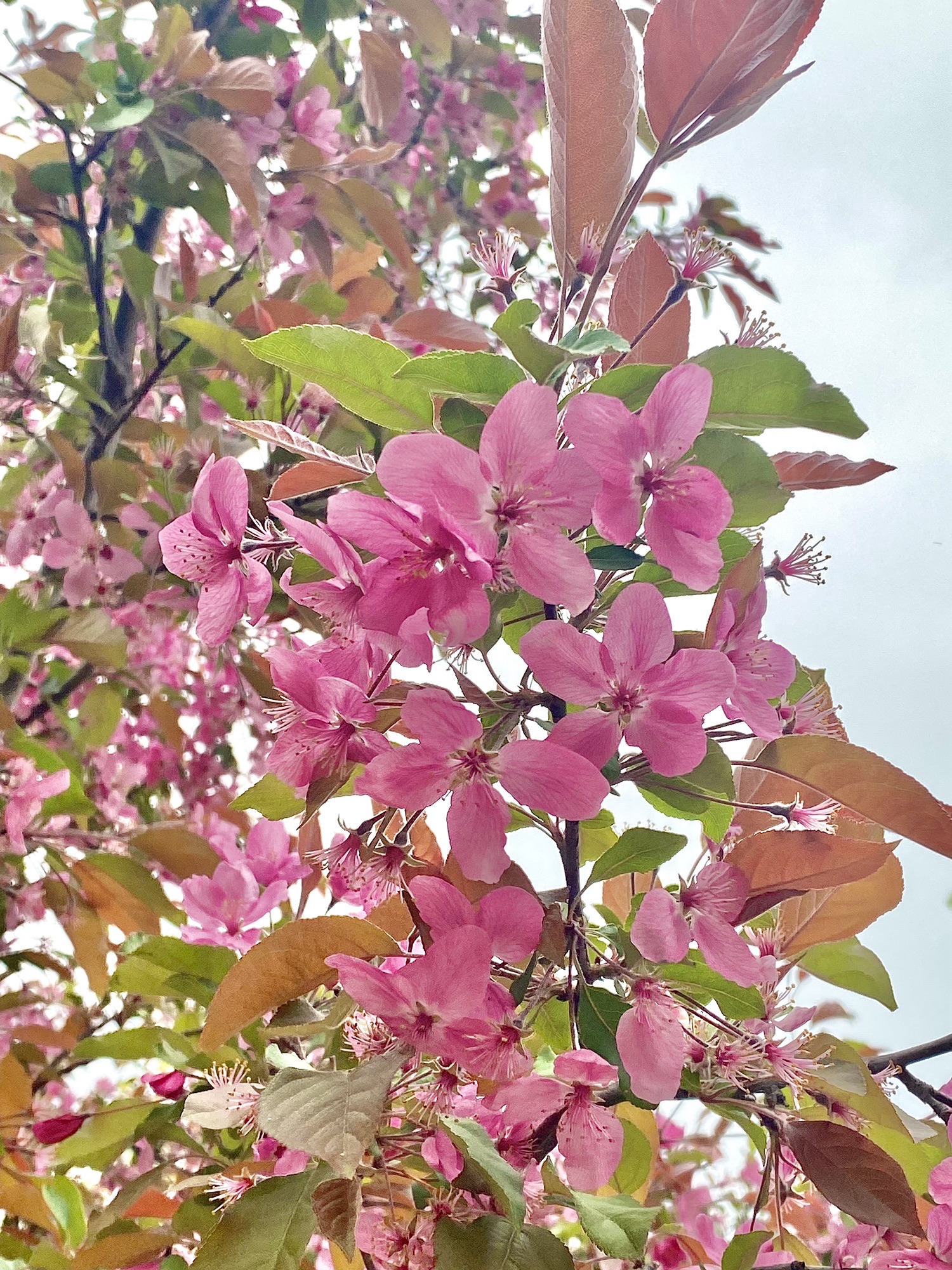 学府公园旅行图片 2
