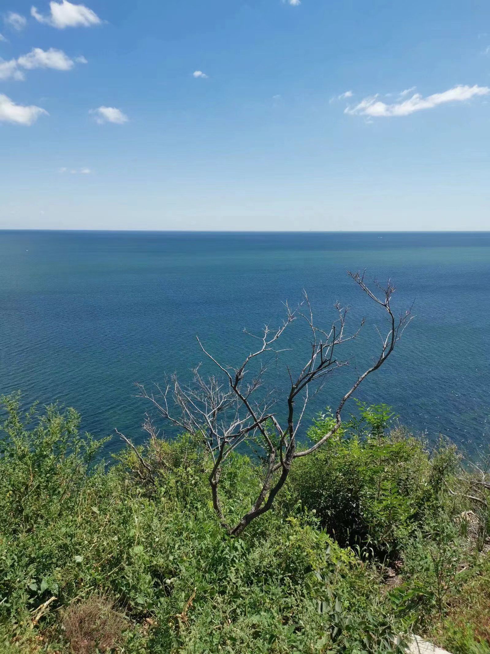 锦州市笔架山风景区(暂停营业)旅行图片 1