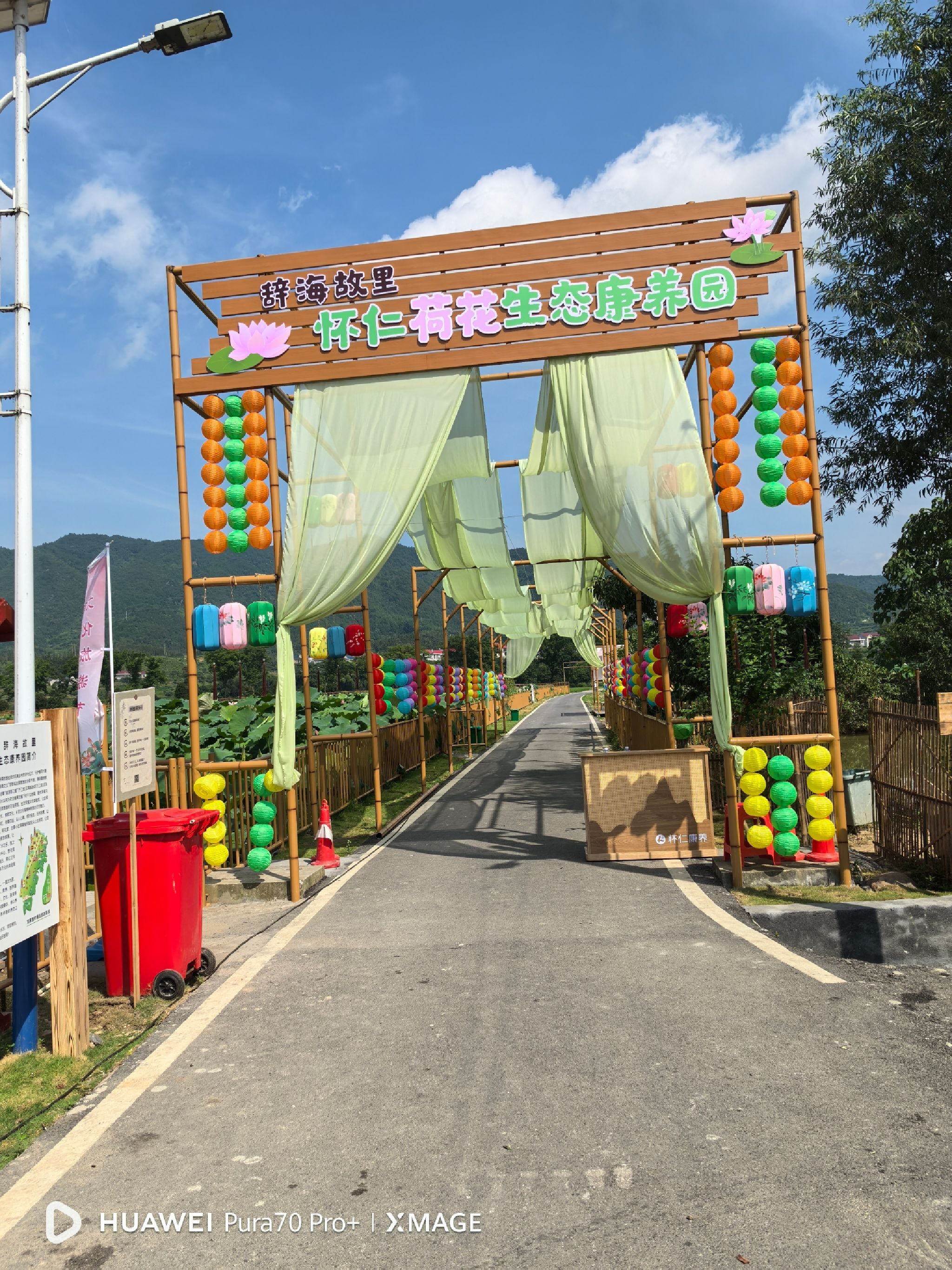 刘家渡荷花基地旅行图片 1