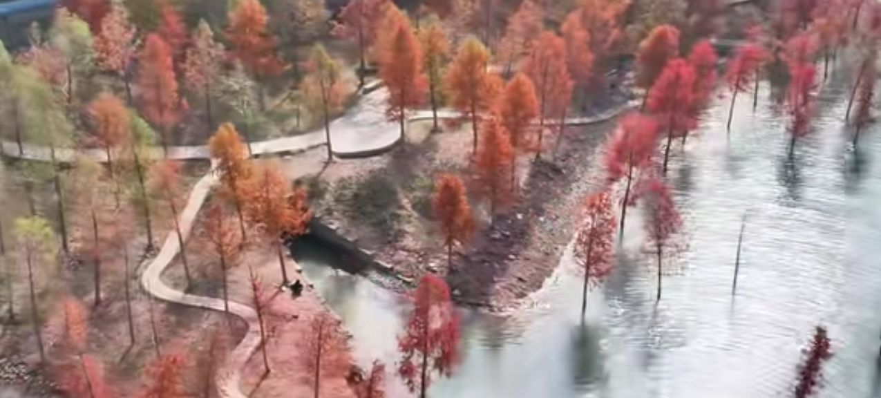 净峰白鹭湾旅游景区旅行图片 3