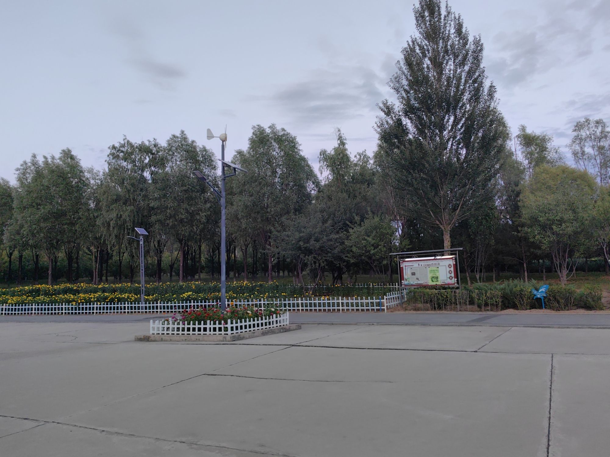 御河生态林旅行图片 3
