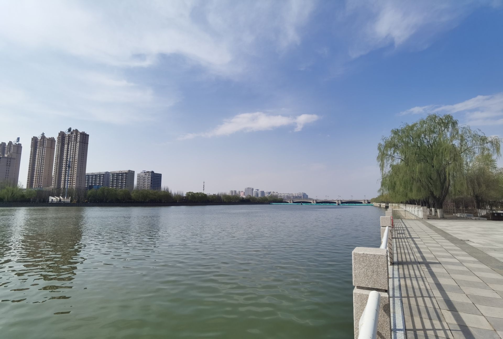 御河生态林旅行图片 3