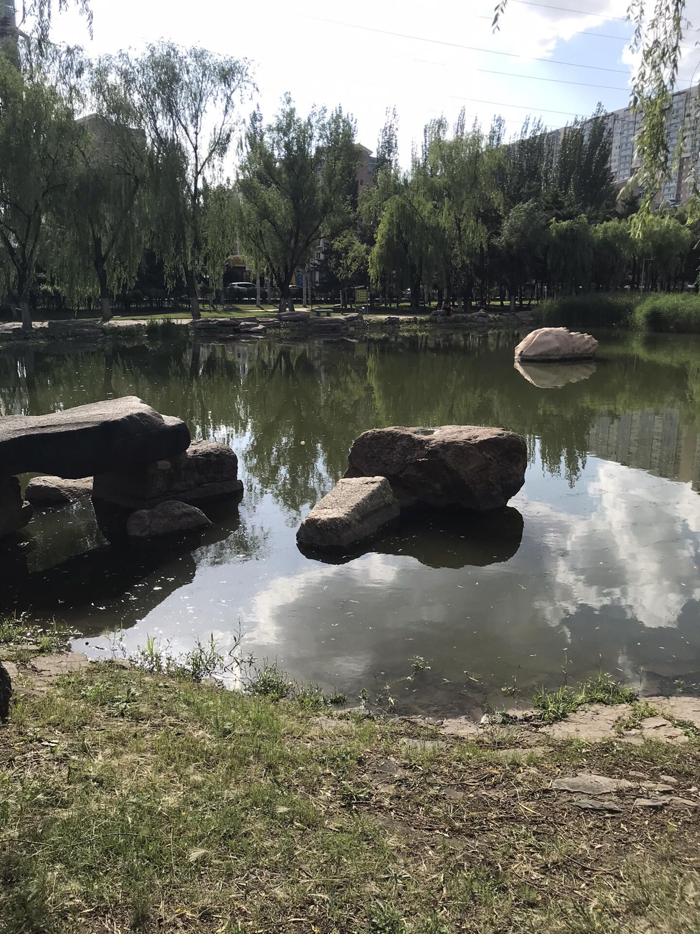 御河生态林旅行图片 1