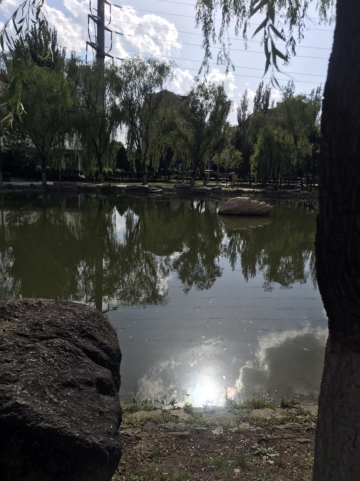 御河生态林旅行图片 2
