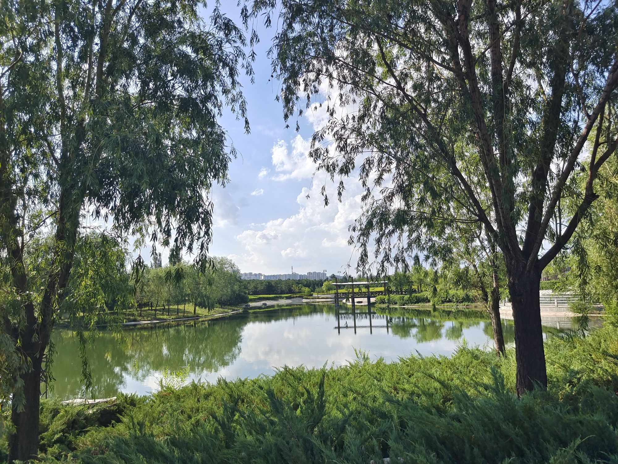 御河生态林旅行图片 2
