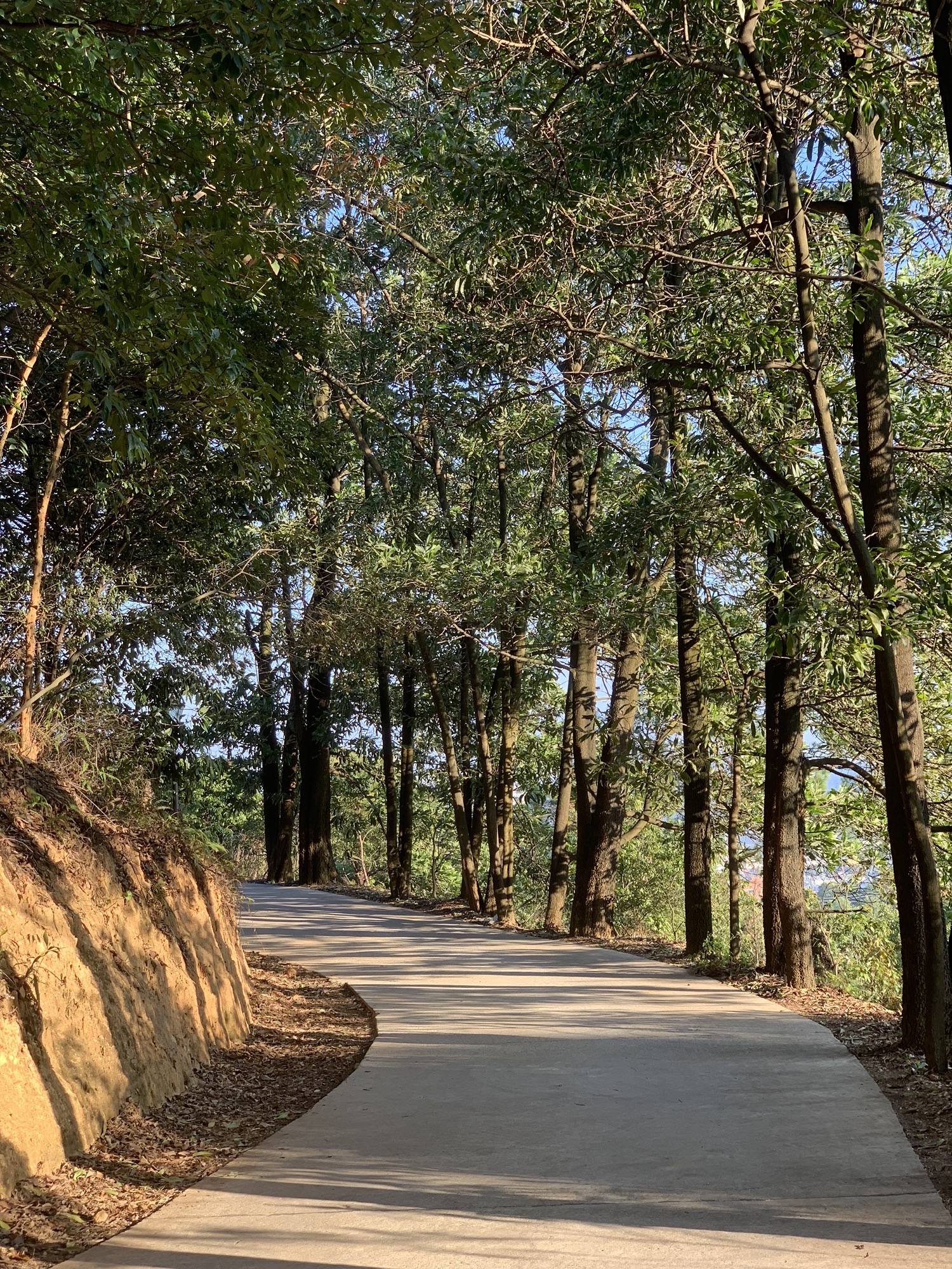 马仔山公园旅行图片 2