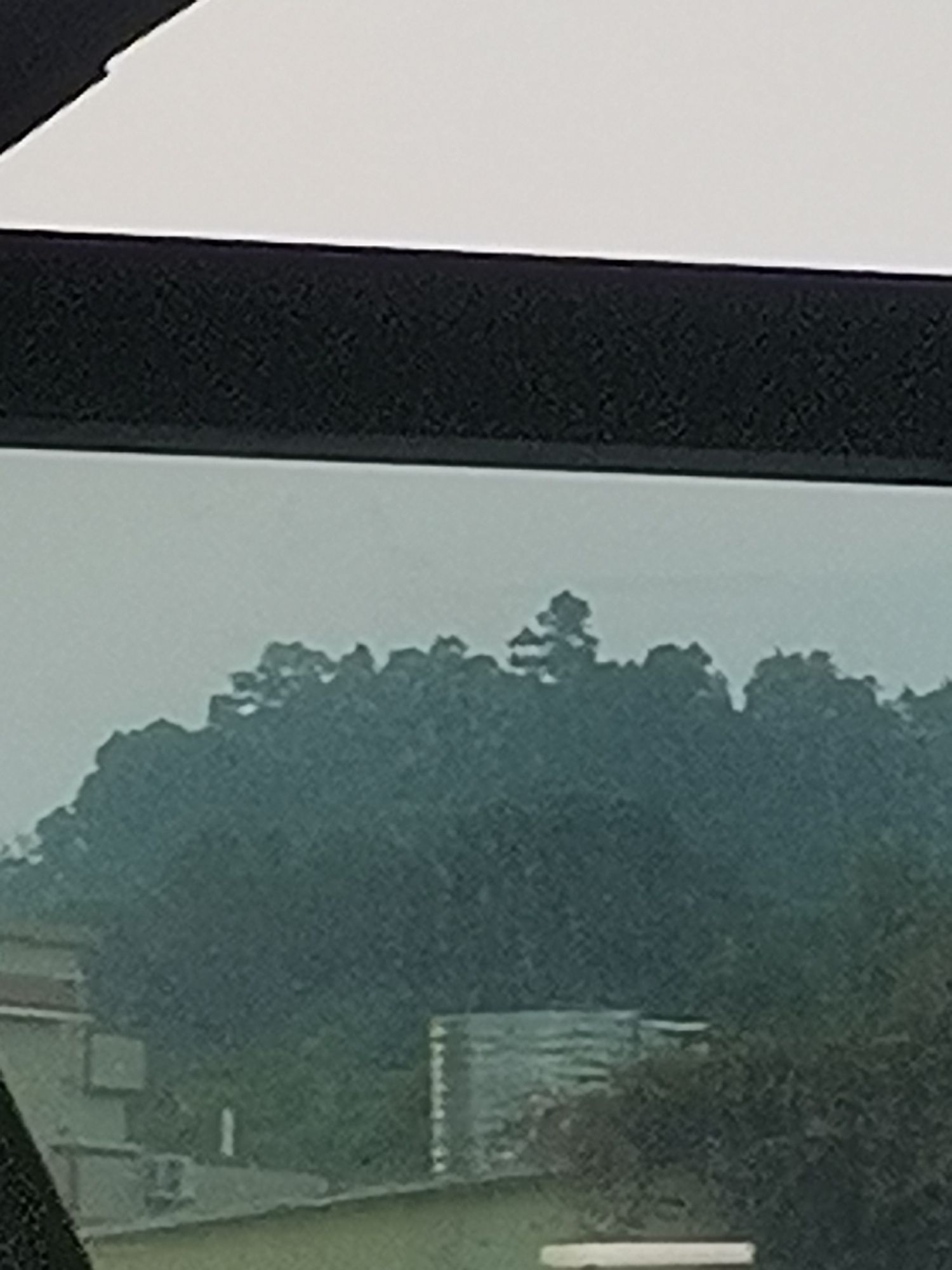 马仔山公园旅行图片 2