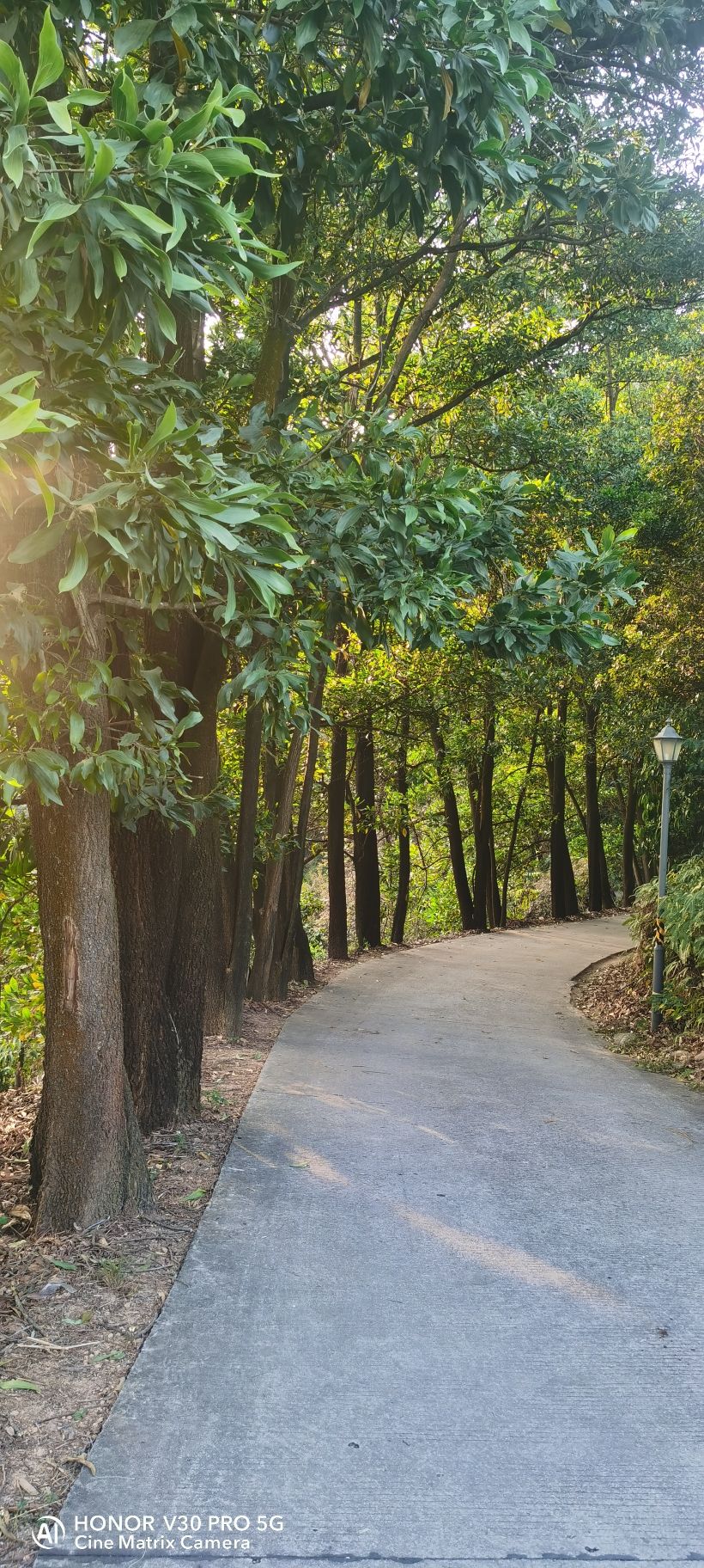 马仔山公园旅行图片 2