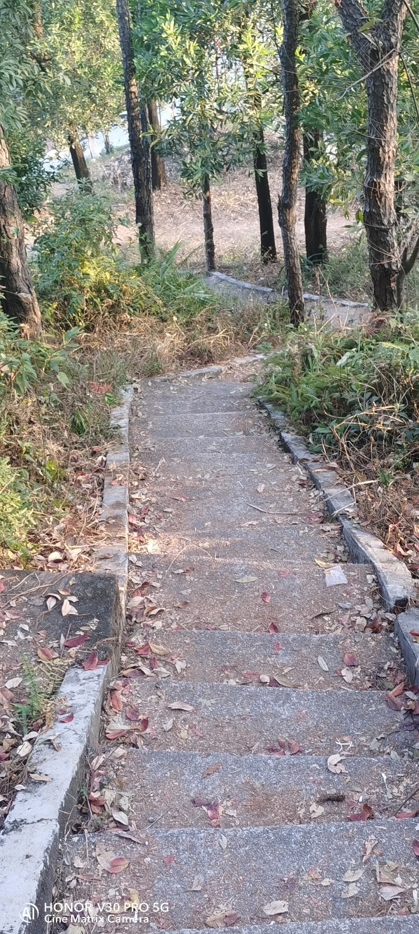 马仔山公园旅行图片 3