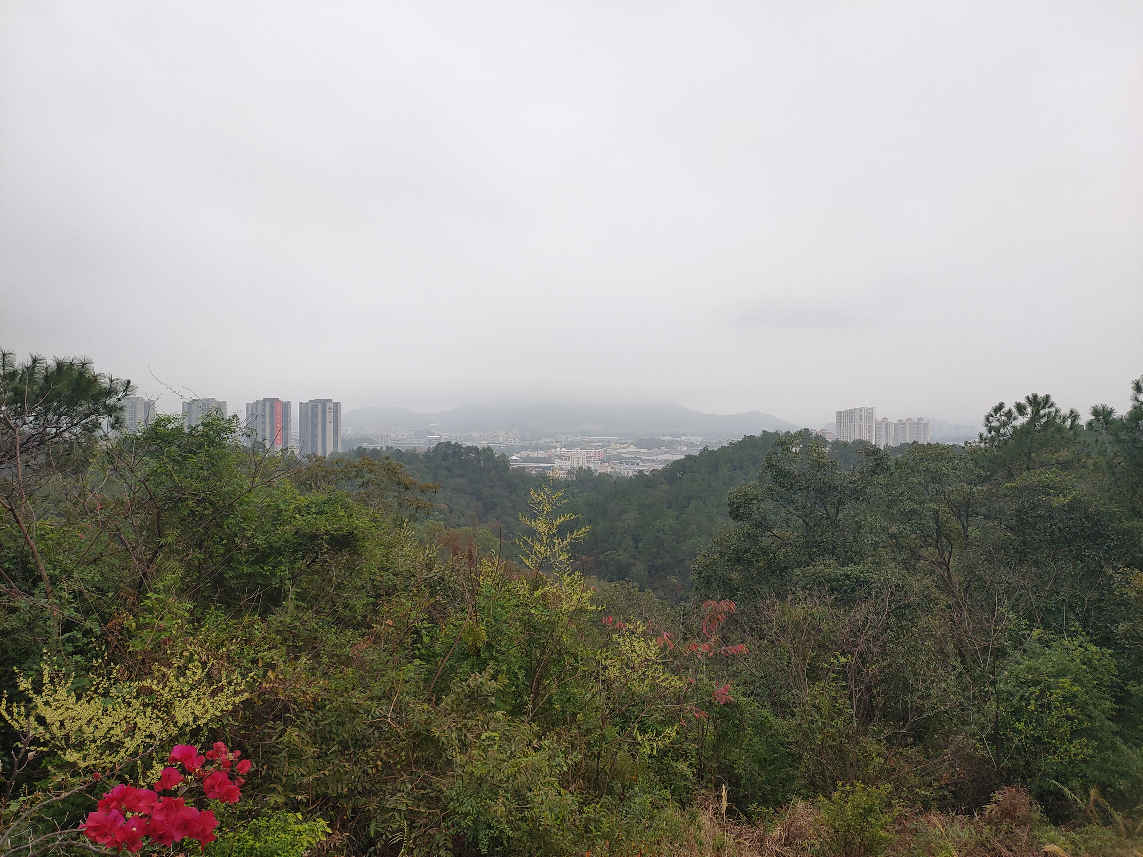 马仔山公园旅行图片 3