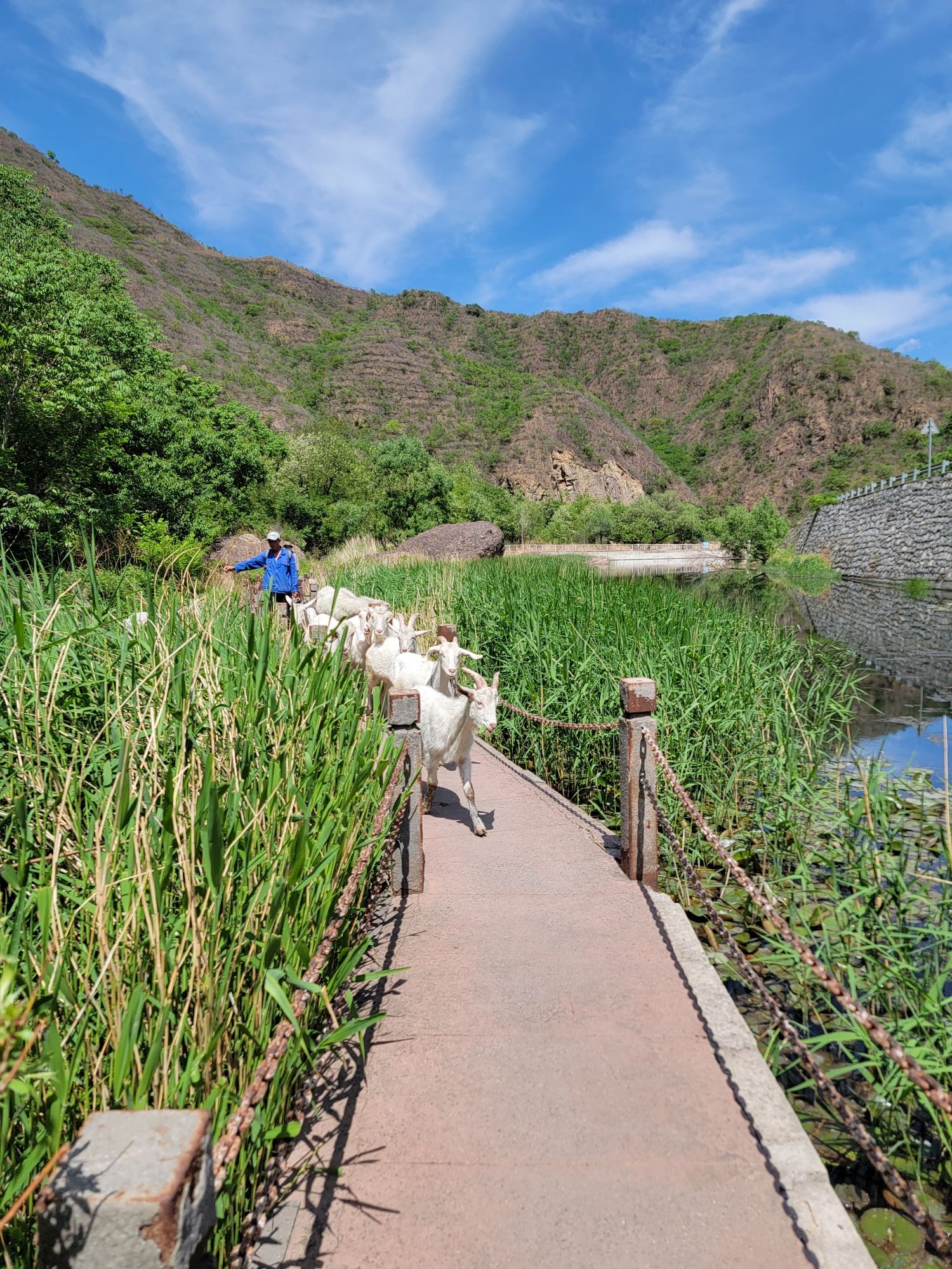 樱桃泉旅行图片 3
