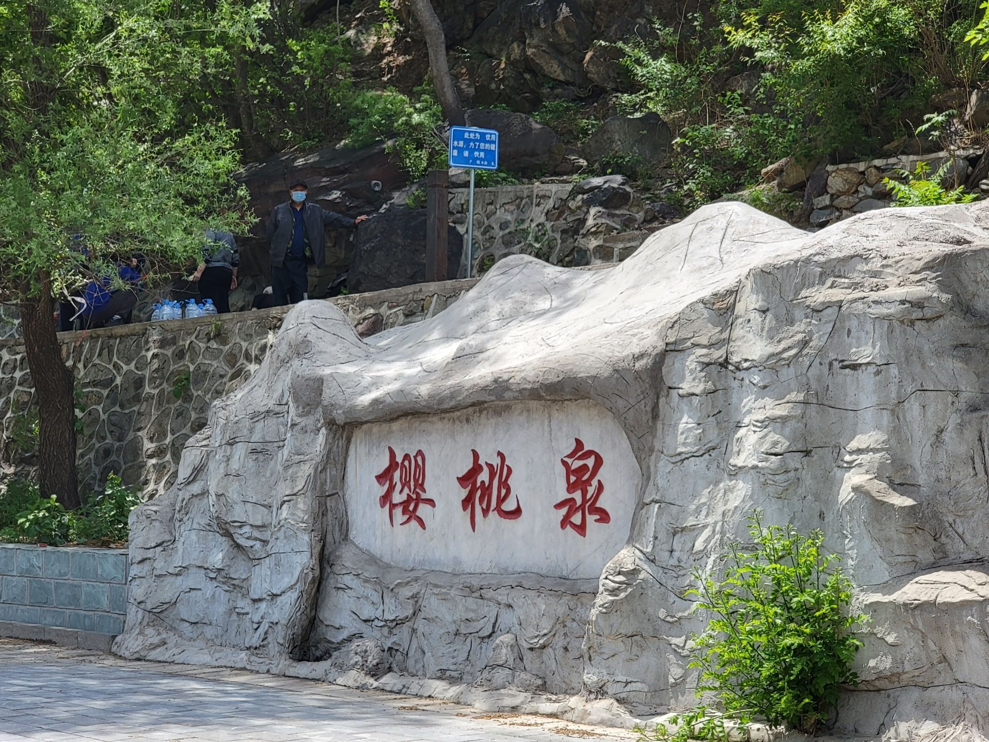 樱桃泉旅行图片 1