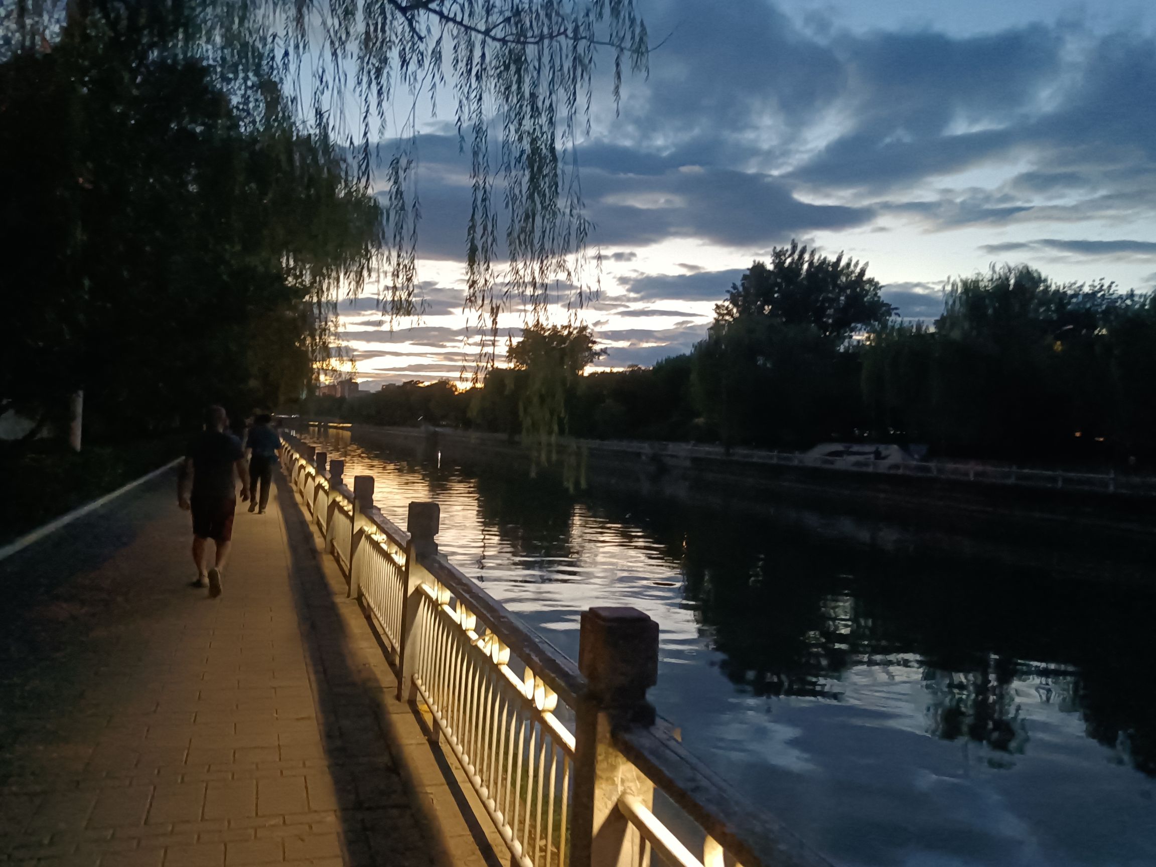 百米芳华园旅行图片