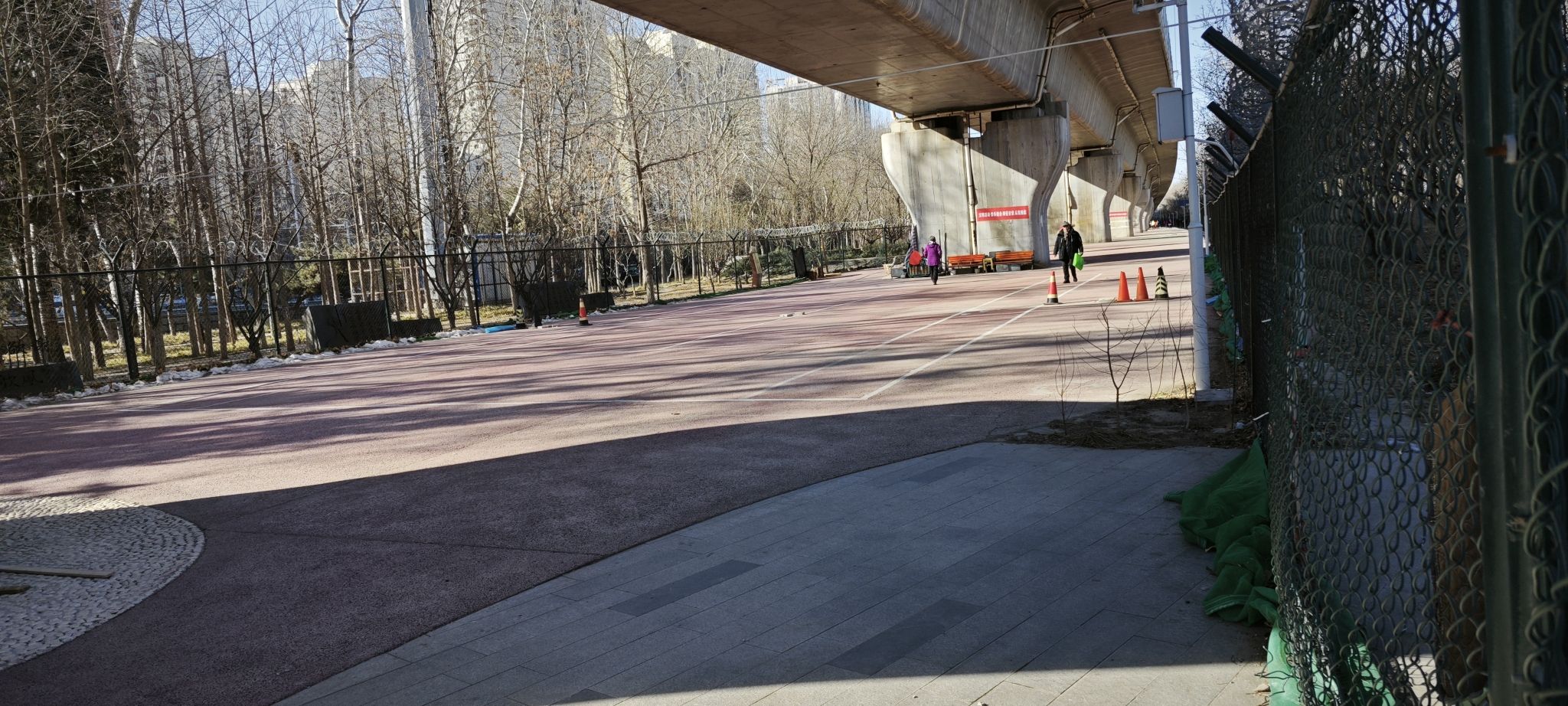 百米芳华园旅行图片 3
