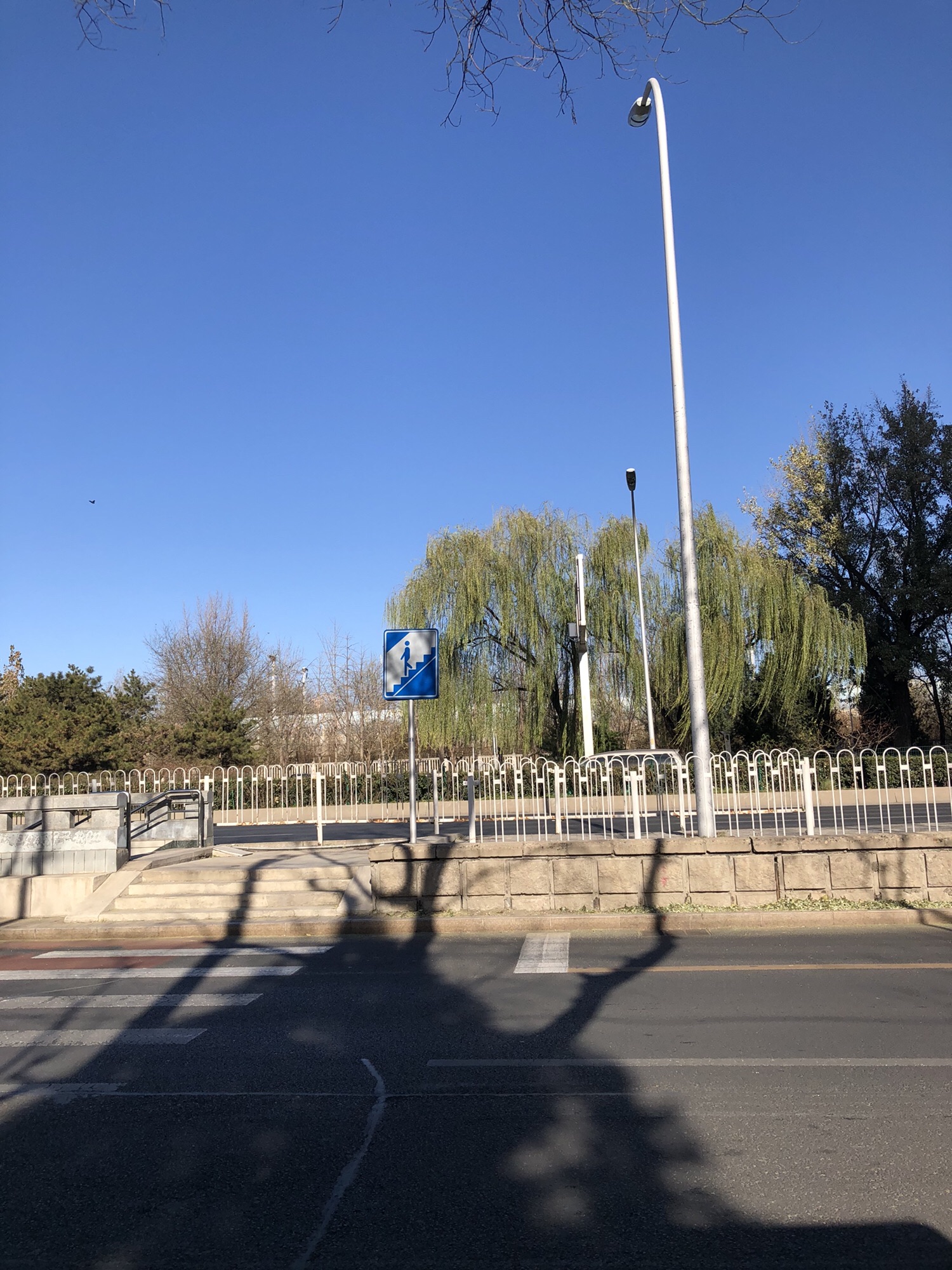 百米芳华园旅行图片 3