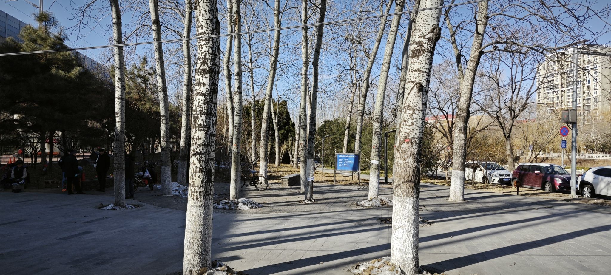 百米芳华园旅行图片 2