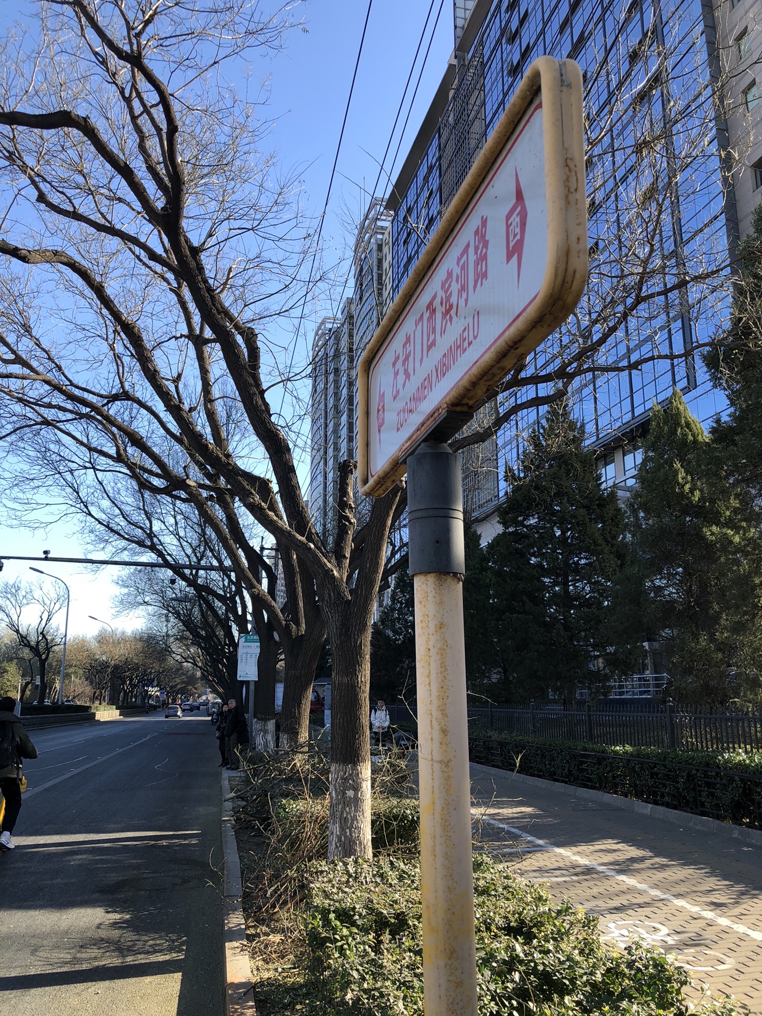 百米芳华园旅行图片 1