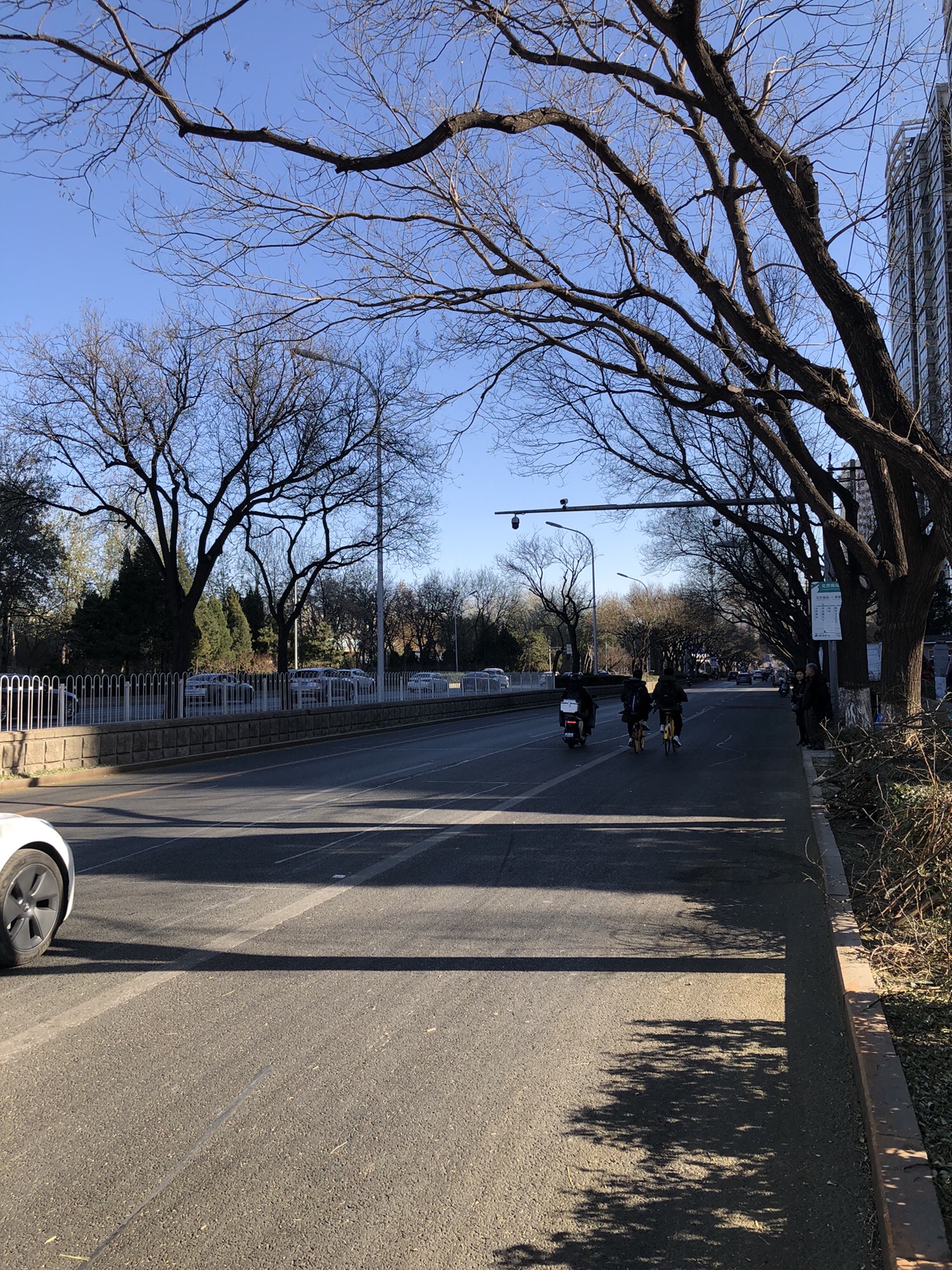 百米芳华园旅行图片 2