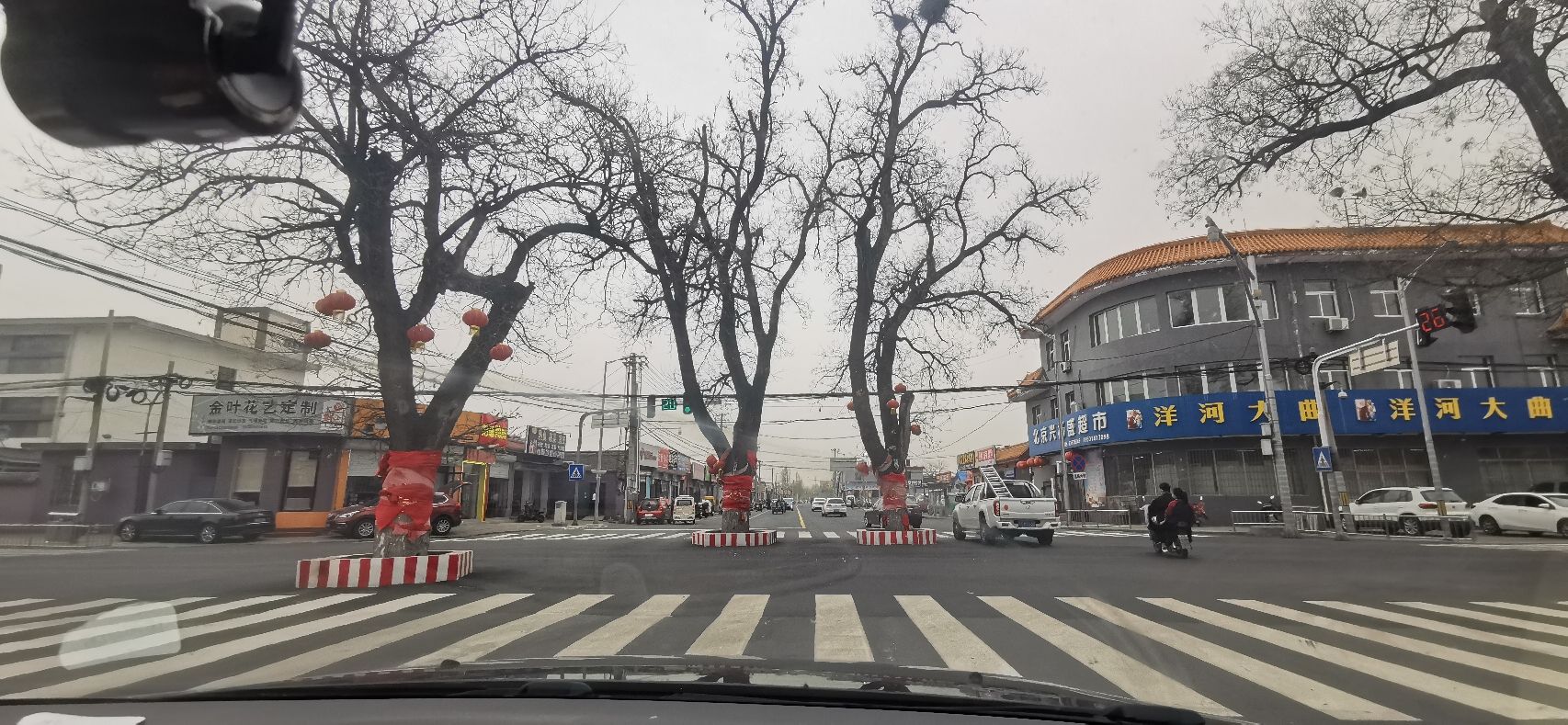 杨宋大槐树旅行图片 1