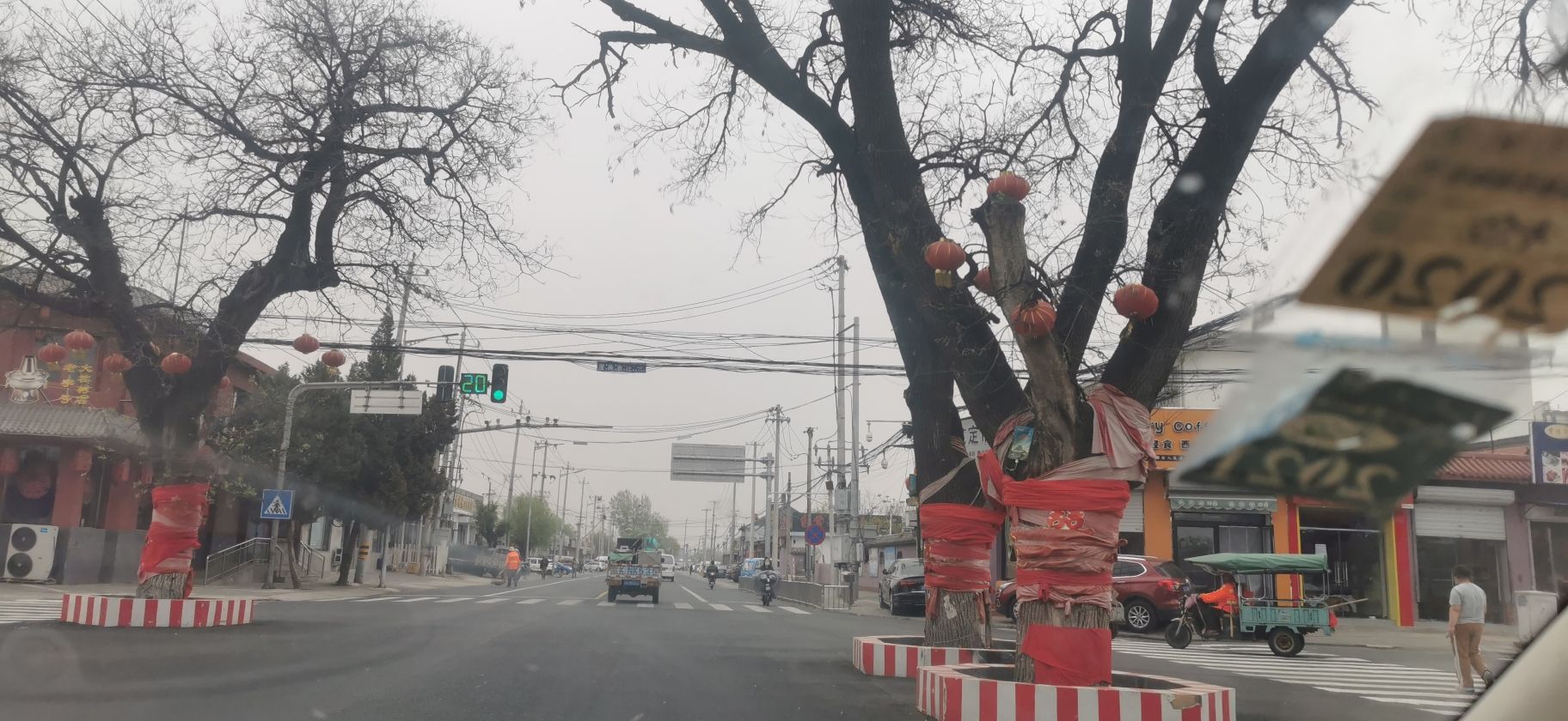 杨宋大槐树旅行图片 2