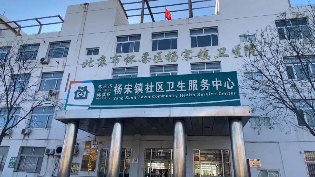 杨宋大槐树旅行图片 1