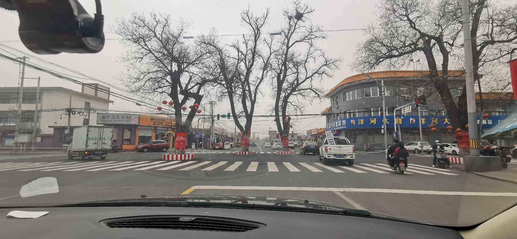 杨宋大槐树旅行图片 3