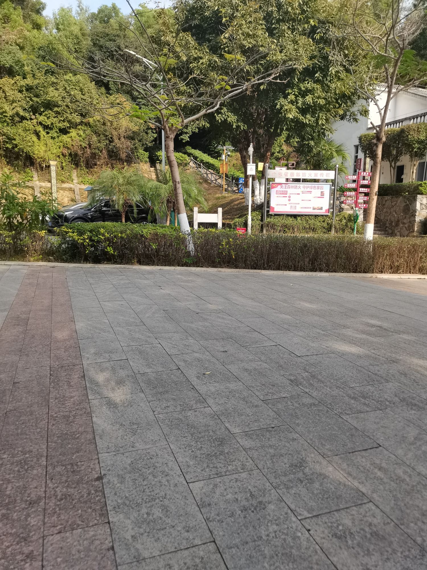 求雨岭公园旅行图片 2