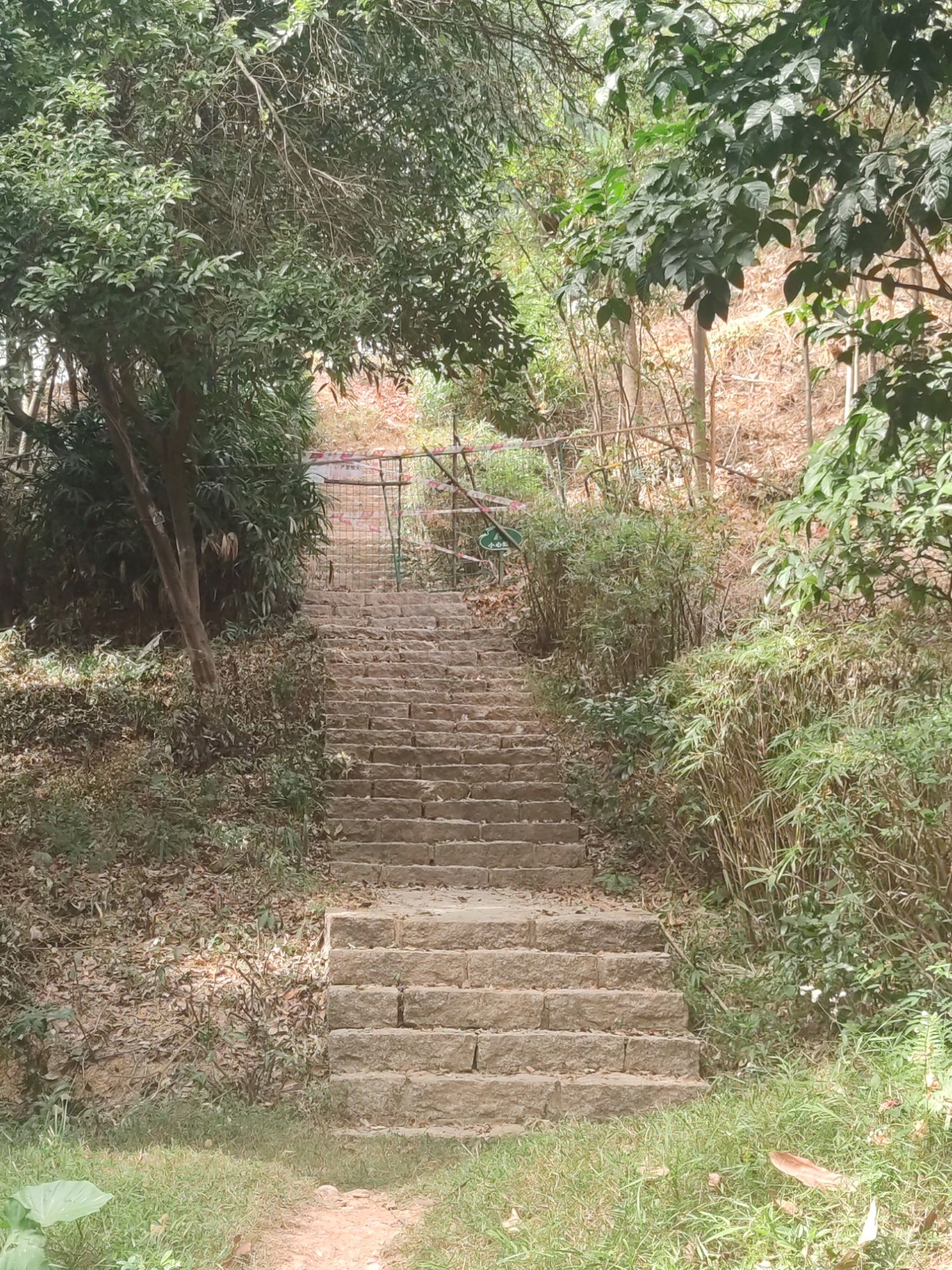求雨岭公园旅行图片 1