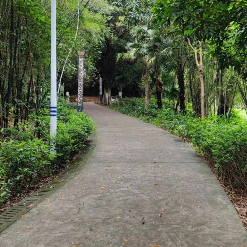 求雨岭公园旅行图片 2