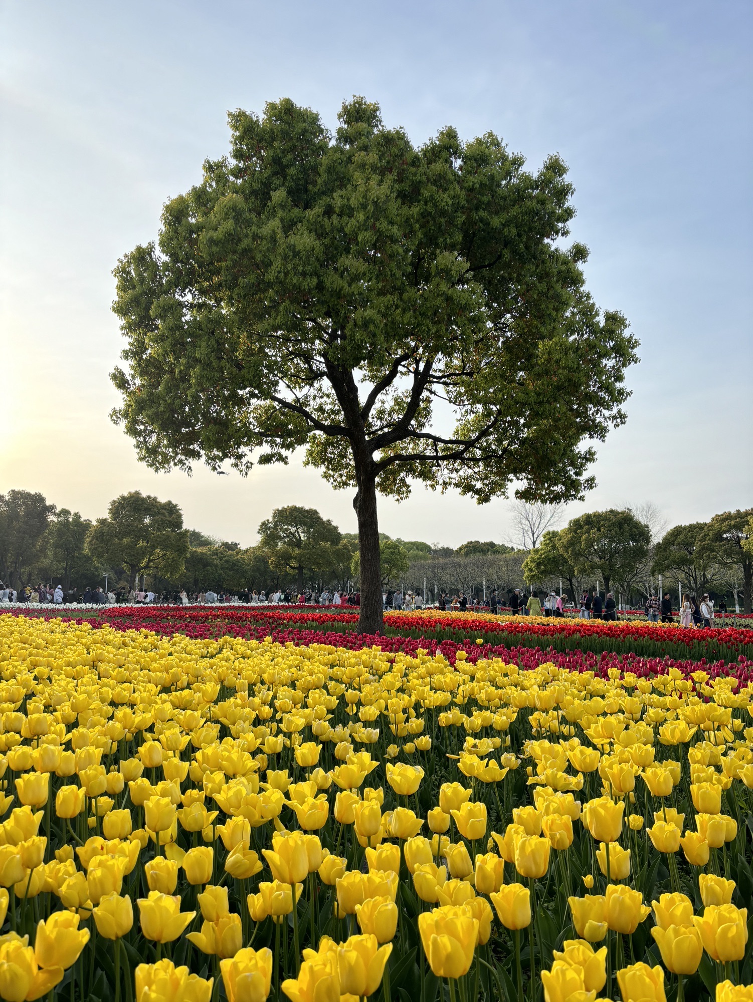 上海大宁公园旅行图片 1