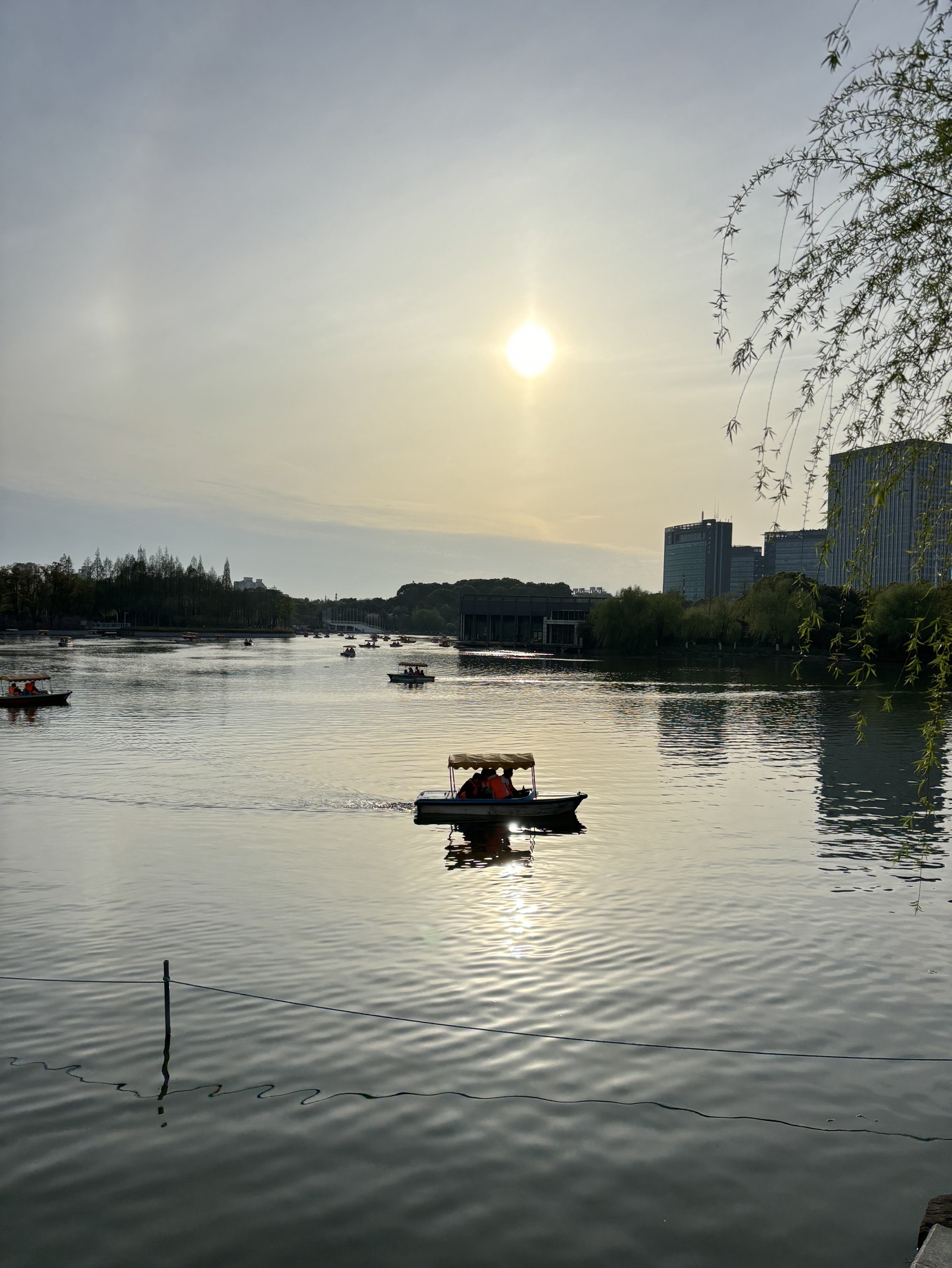 上海大宁公园旅行图片 3