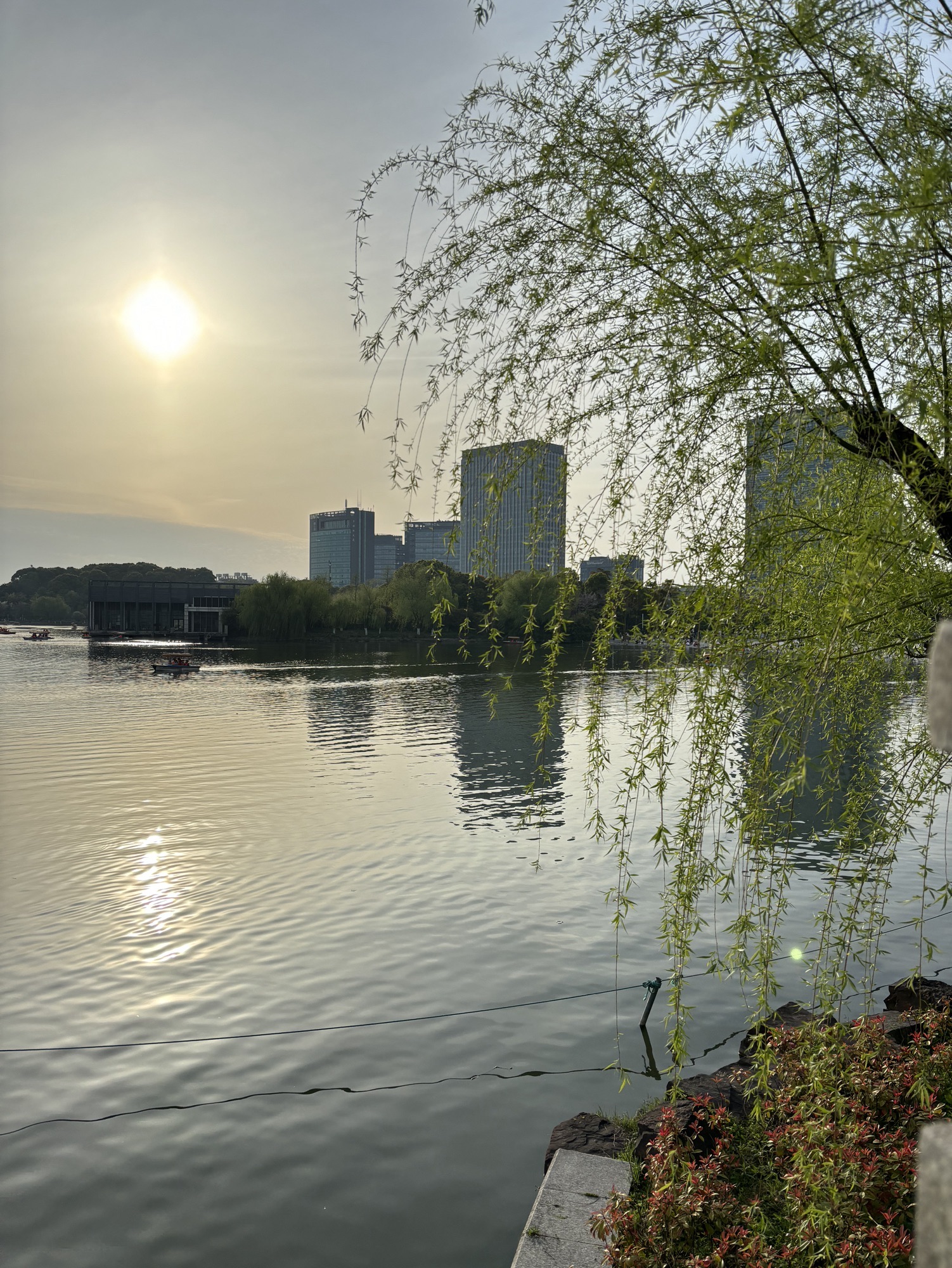上海大宁公园旅行图片 2