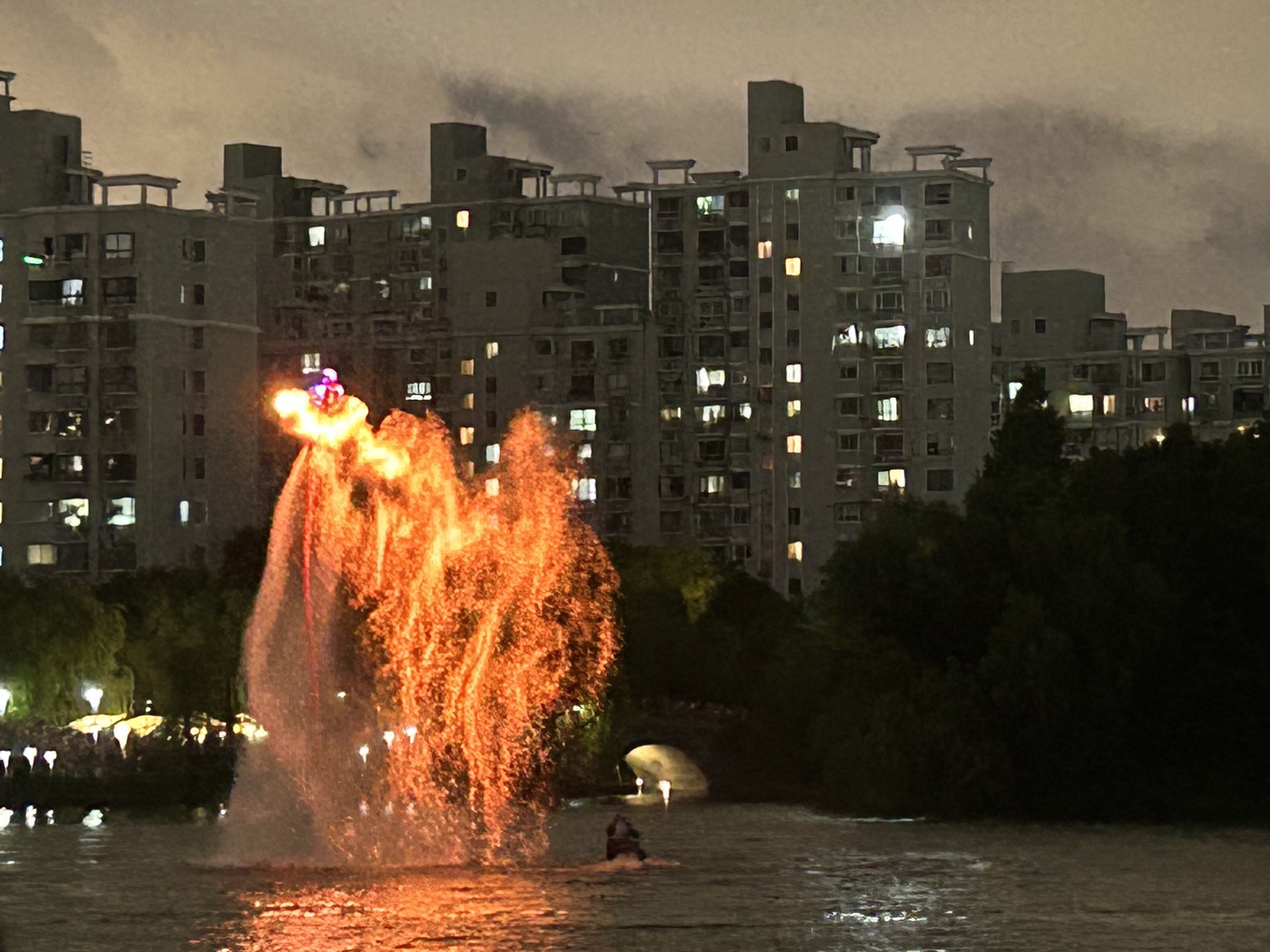 上海大宁公园旅行图片 3