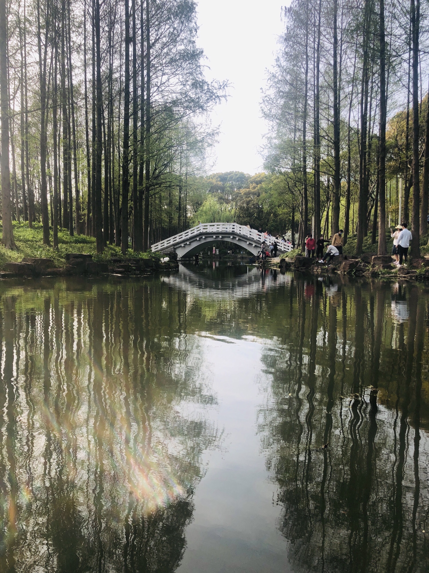 上海大宁公园旅行图片 2