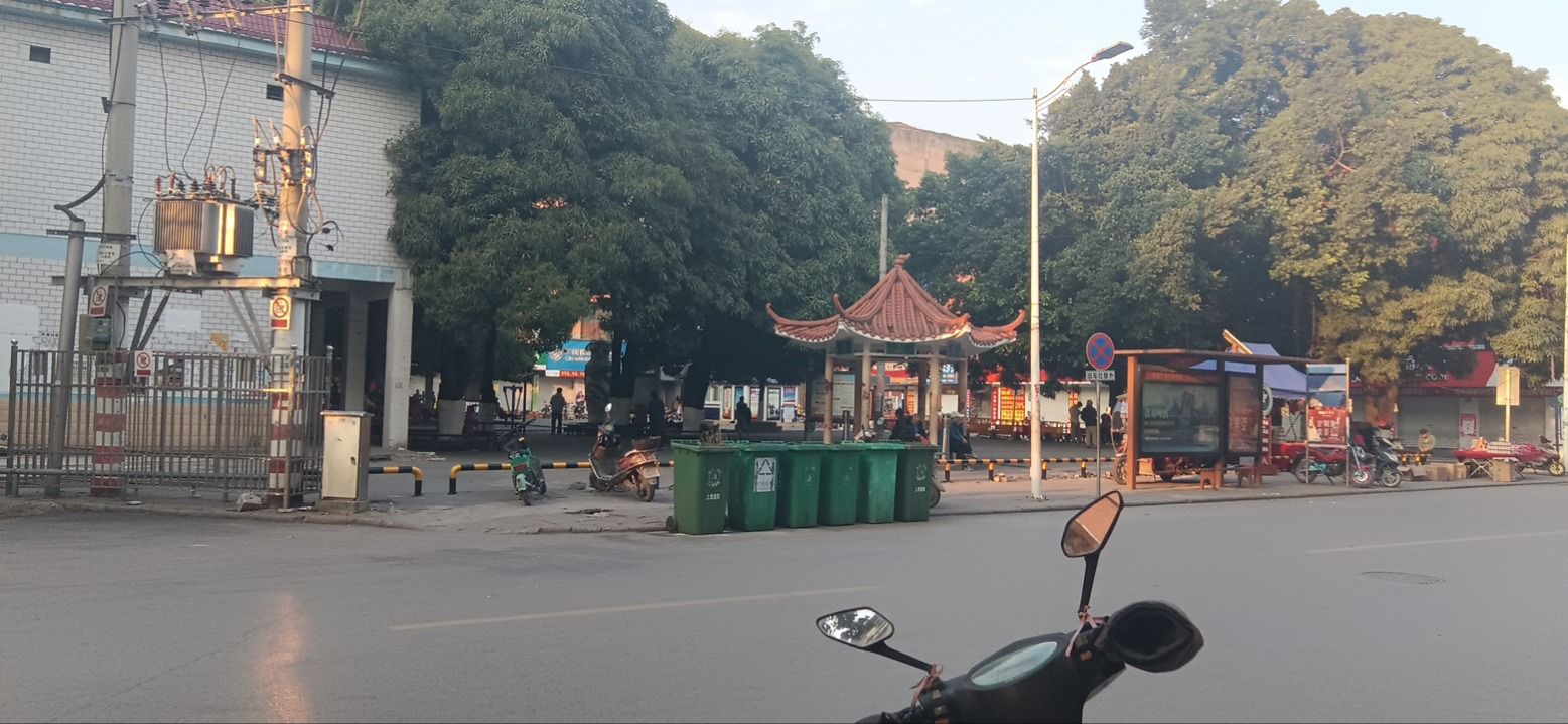 街心公园旅行图片 1