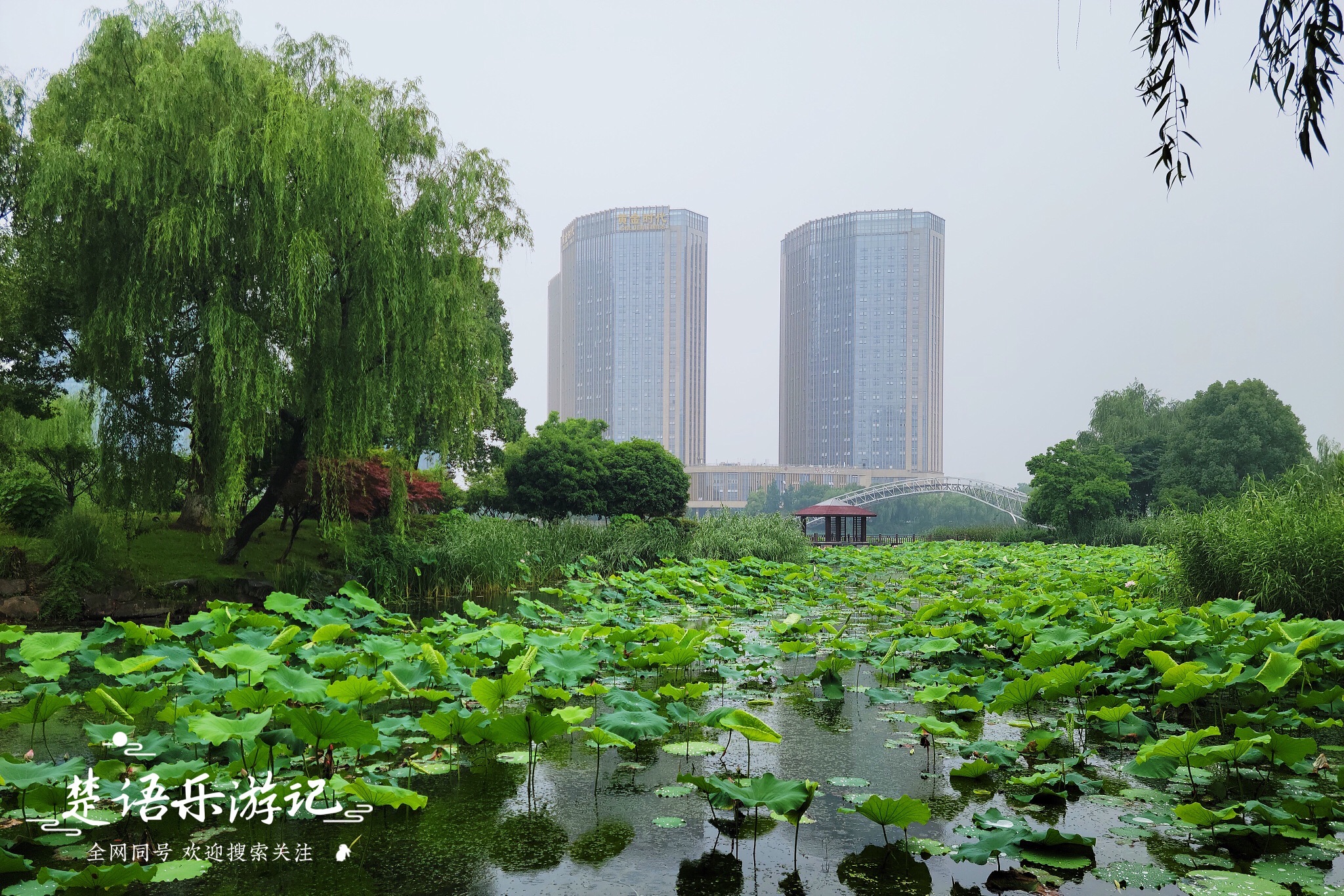 梅龙湖公园旅行图片 1