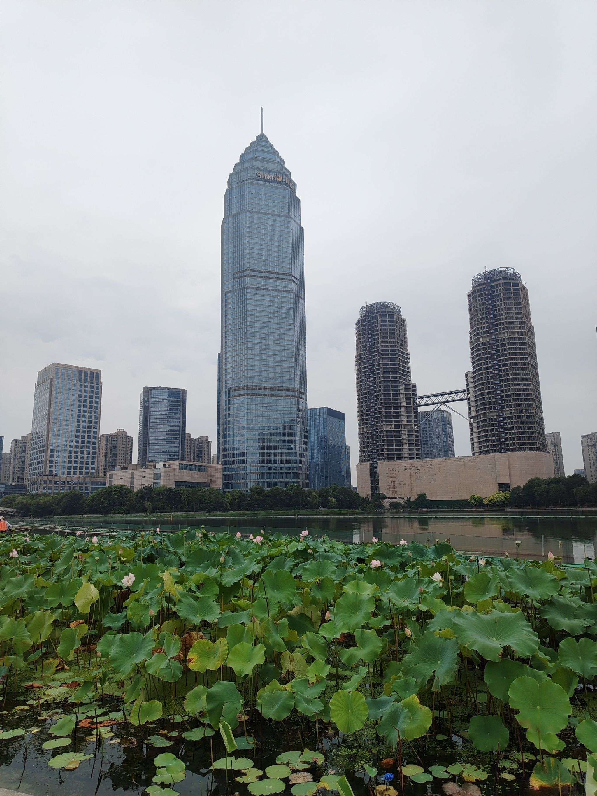 梅龙湖公园旅行图片 2
