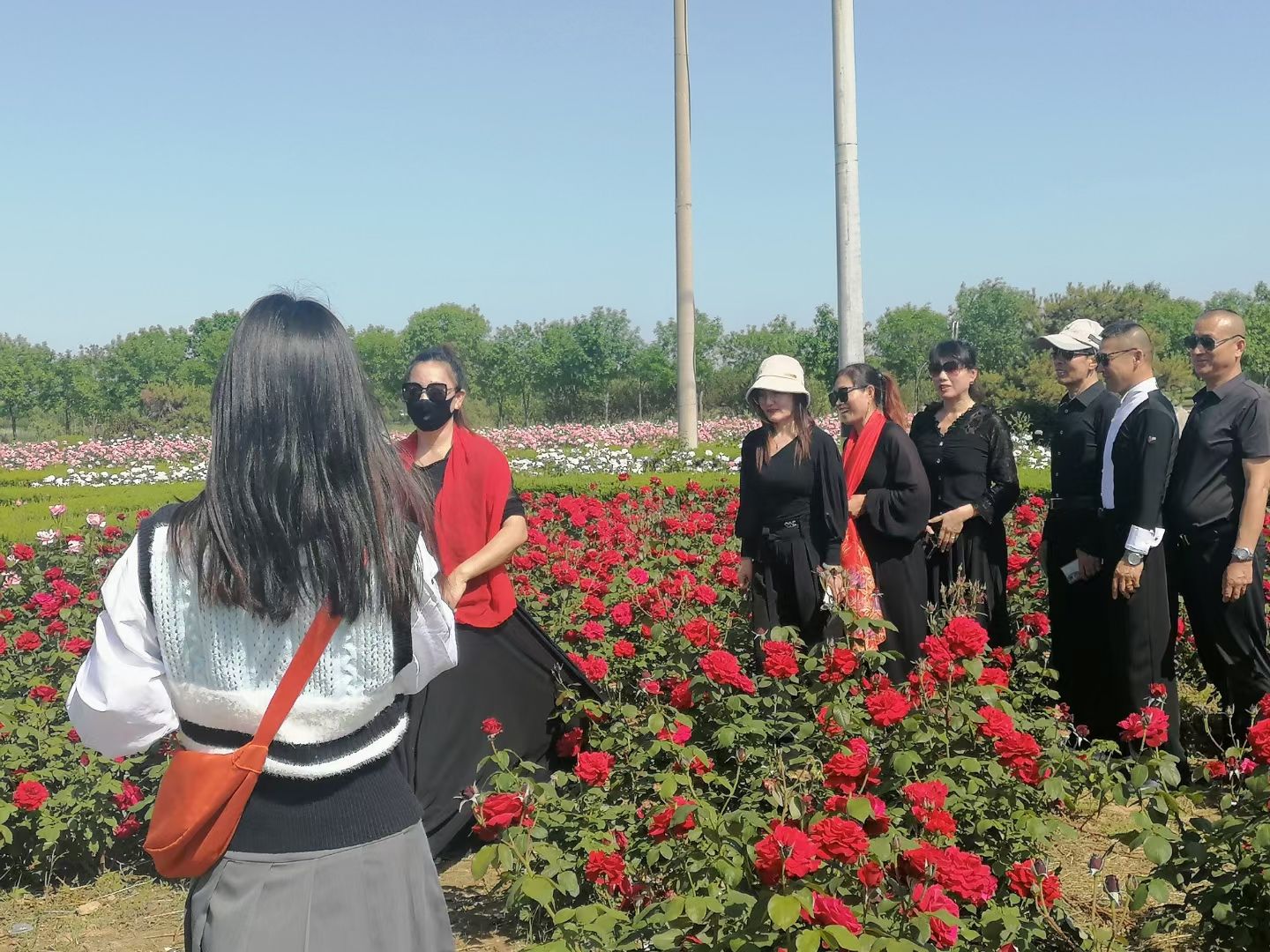 金平湖公园旅行图片 2
