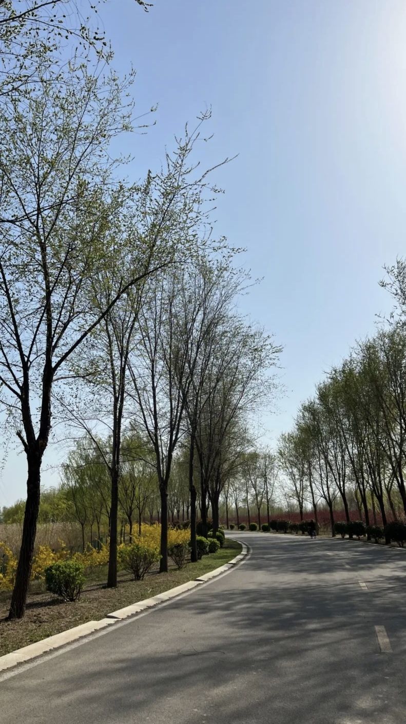 金平湖公园旅行图片 3