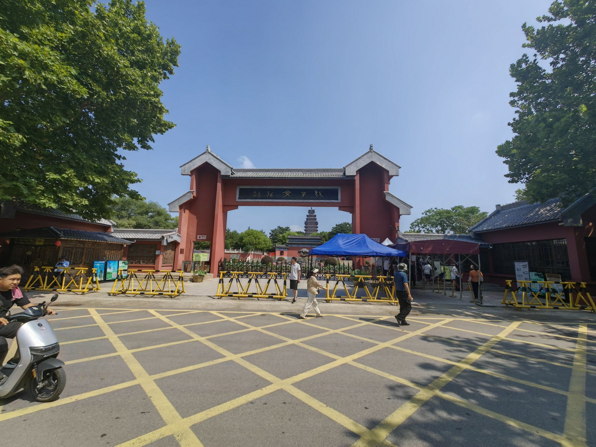 微山湖旅游区-微子林