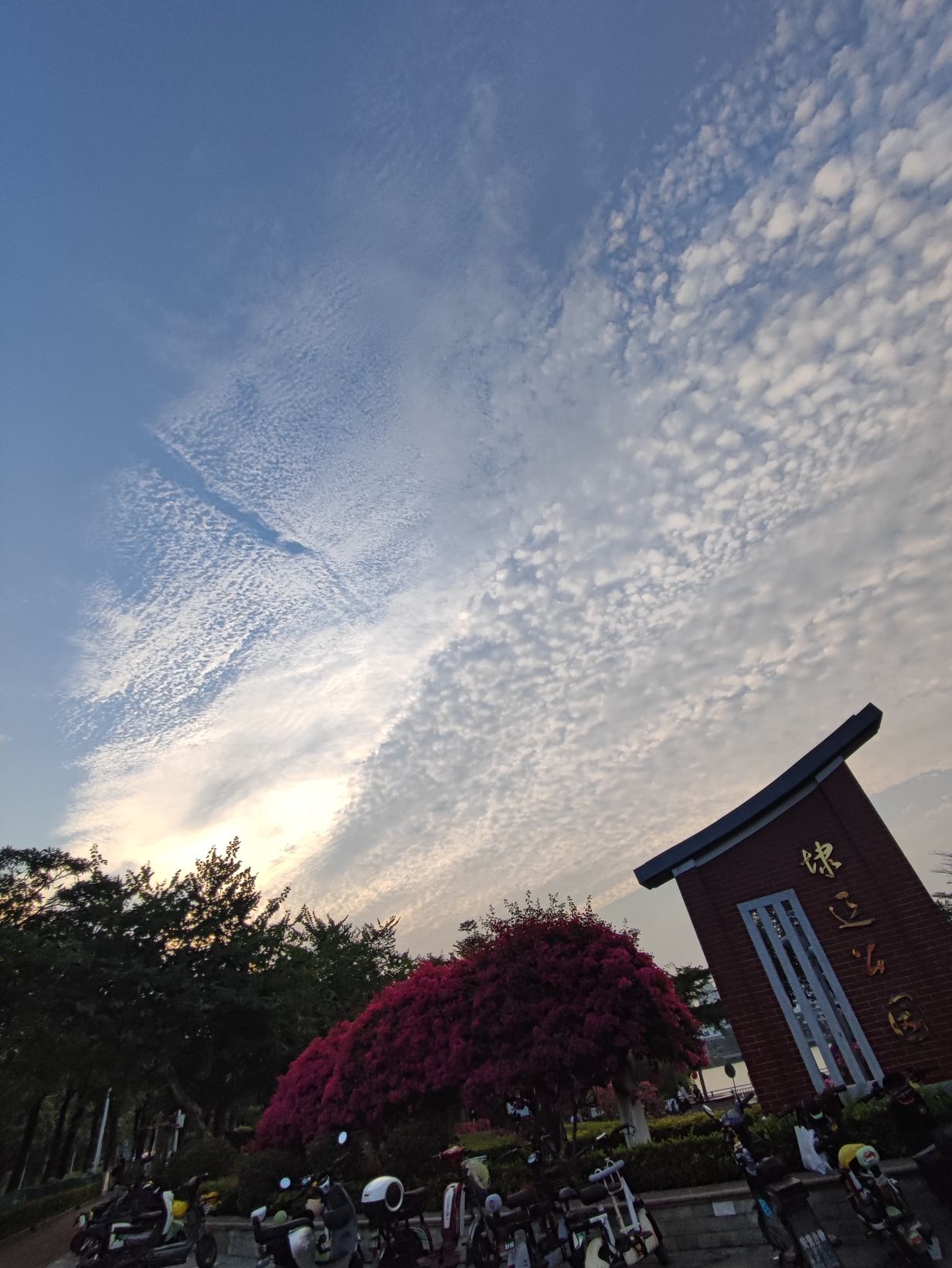 埭辽公园旅行图片 1