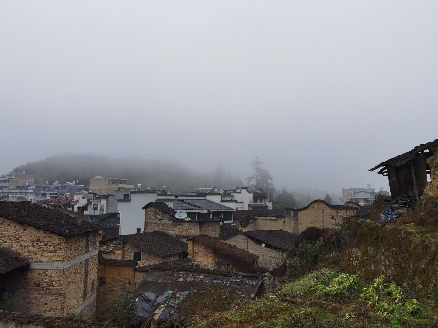 漈头村张氏宗祠八家分祠旅行图片 3